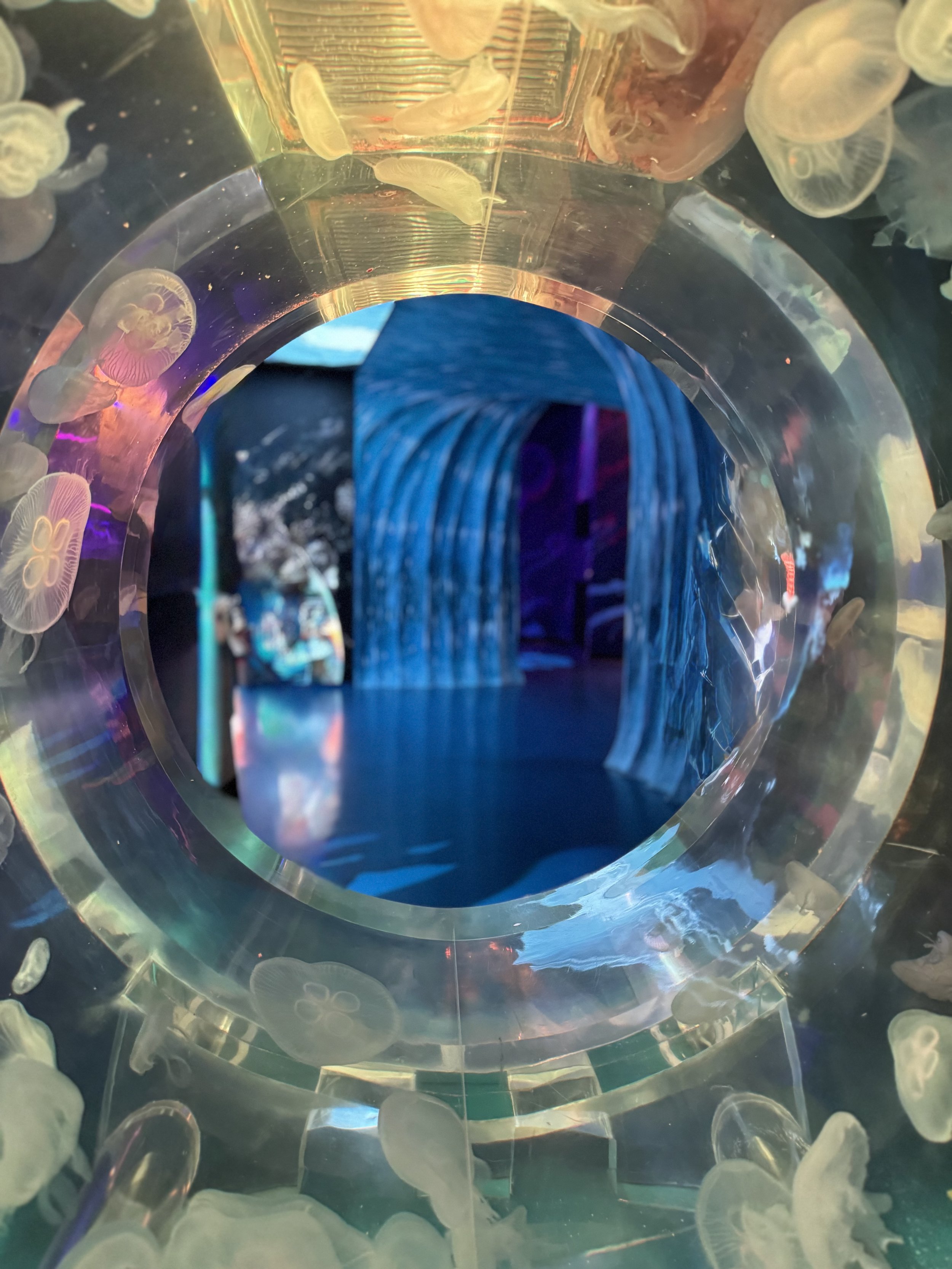 Week 20: aquarium, BTS en stamps