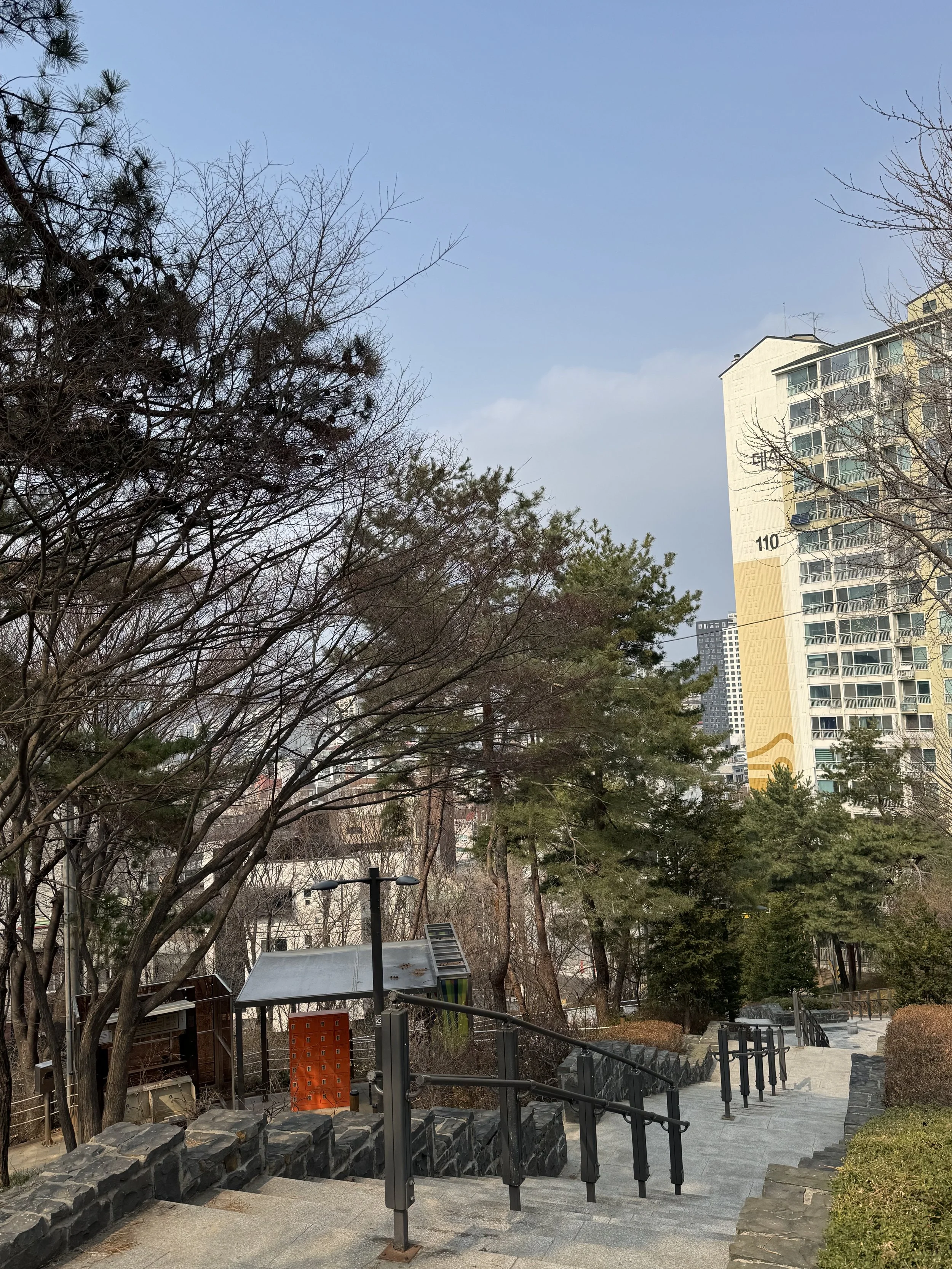 IMG_3150.jpeg
