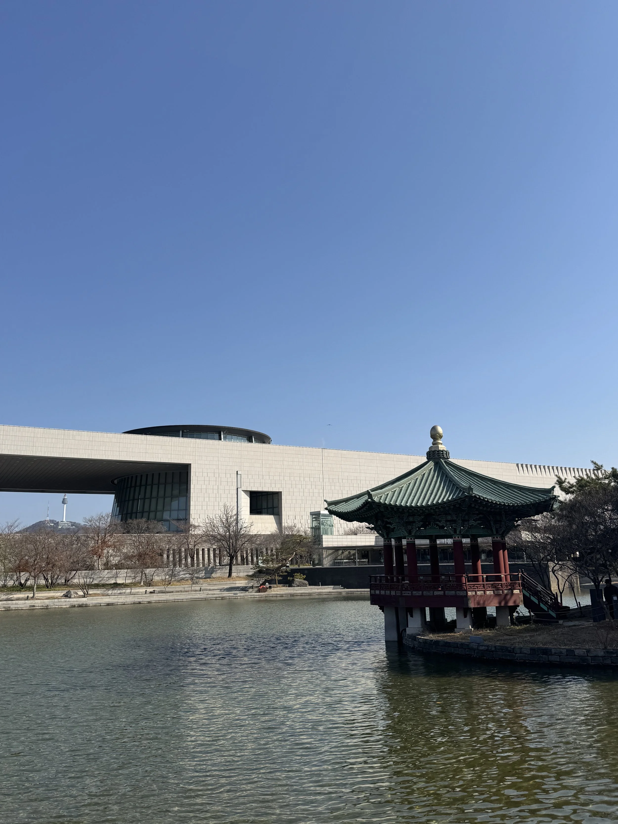 IMG_3187.jpeg