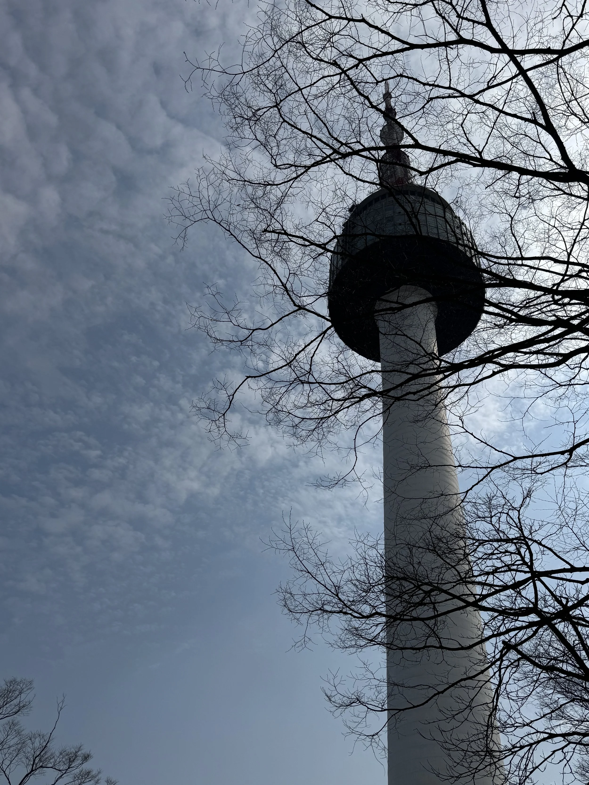 IMG_3260.jpeg