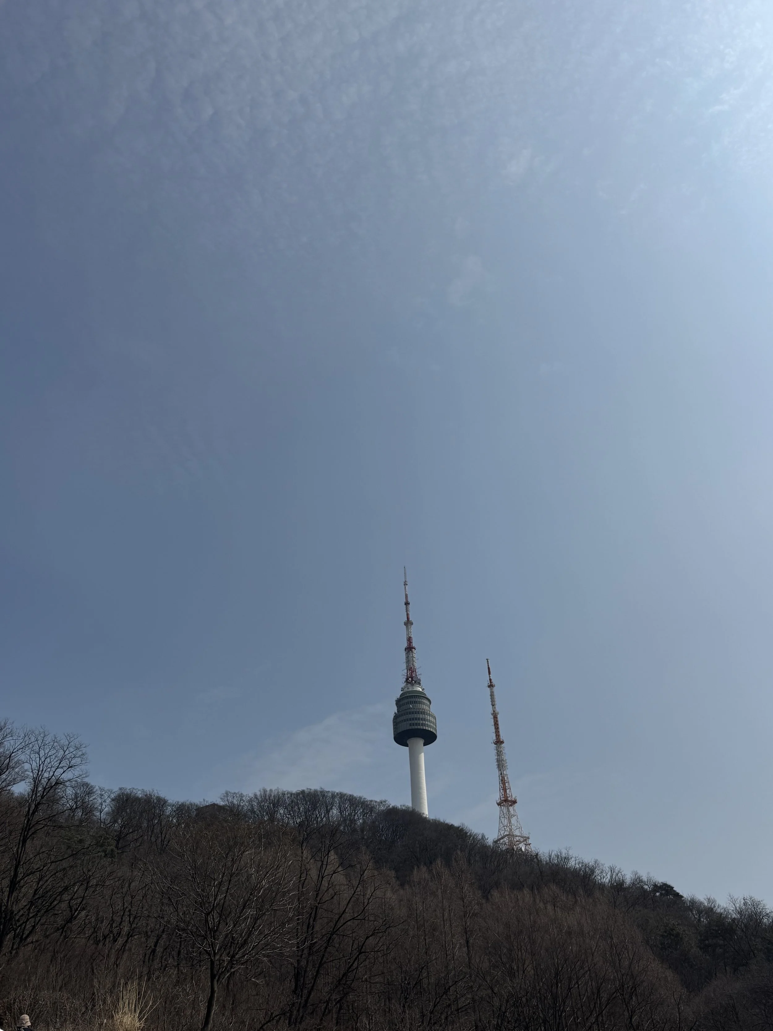 IMG_3264.jpeg