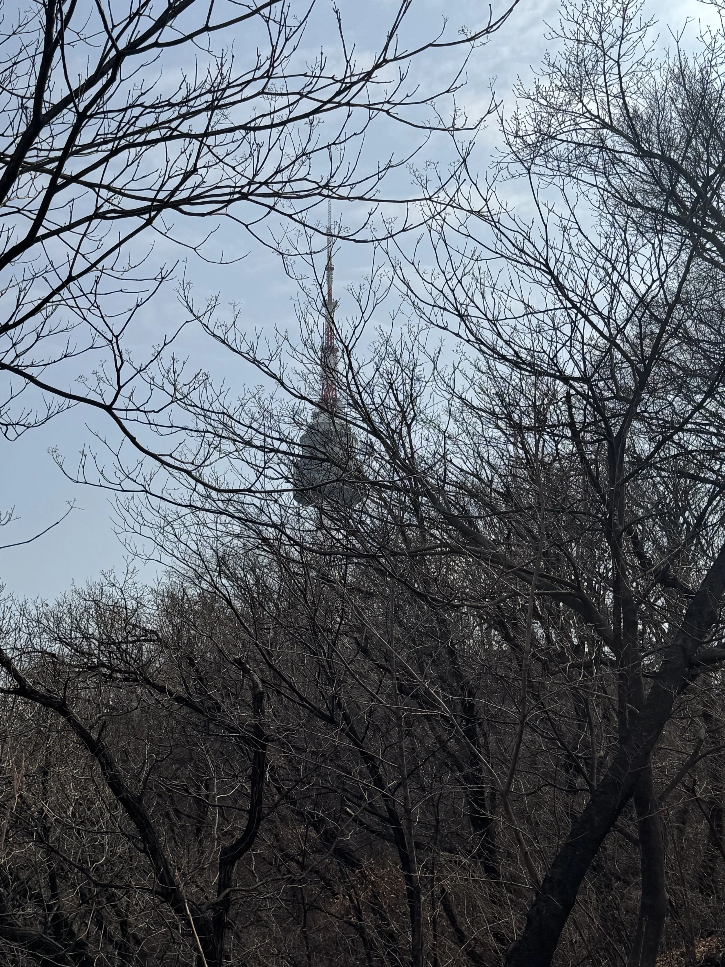 IMG_3262.jpeg