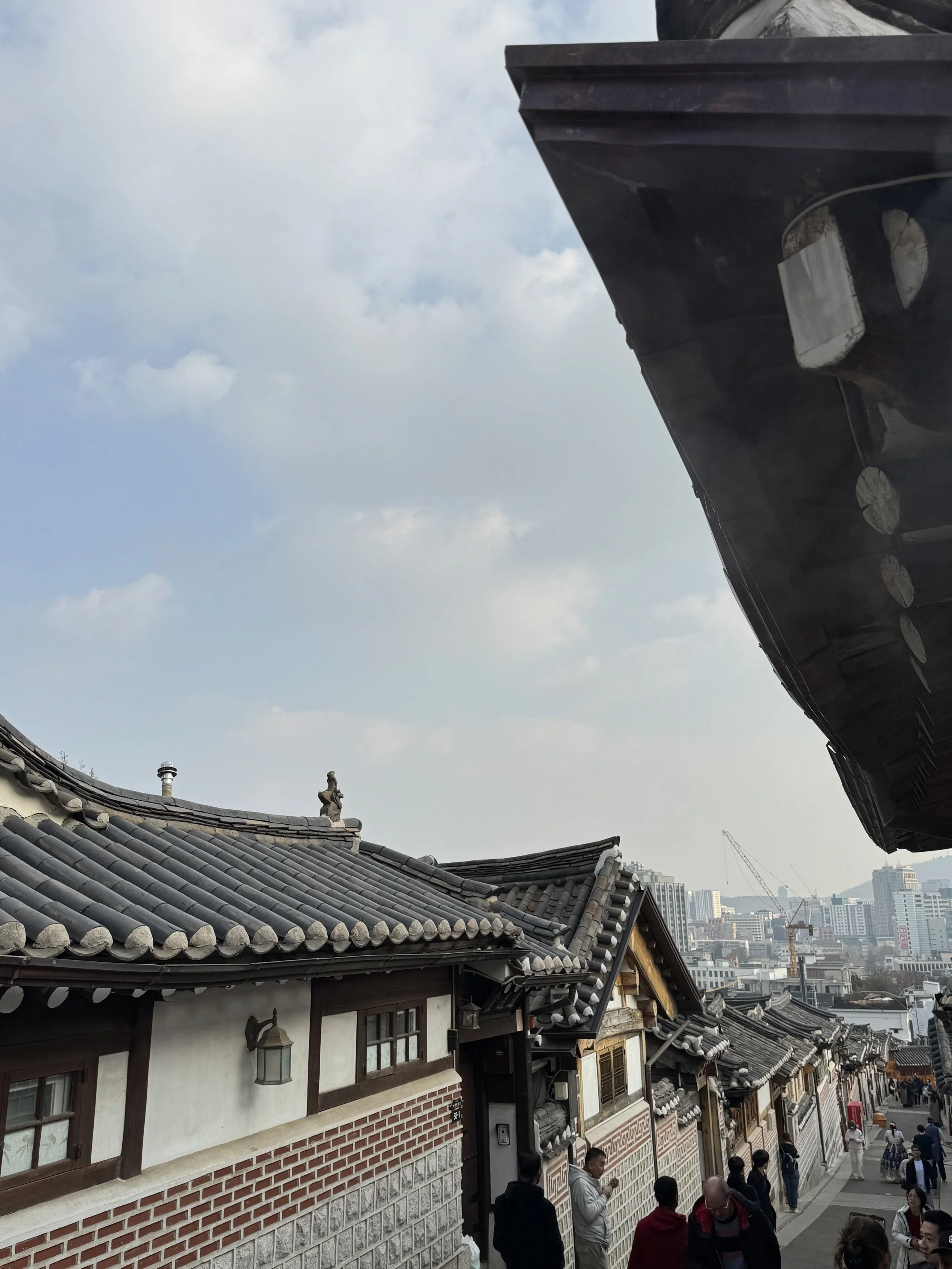 IMG_3402.jpeg