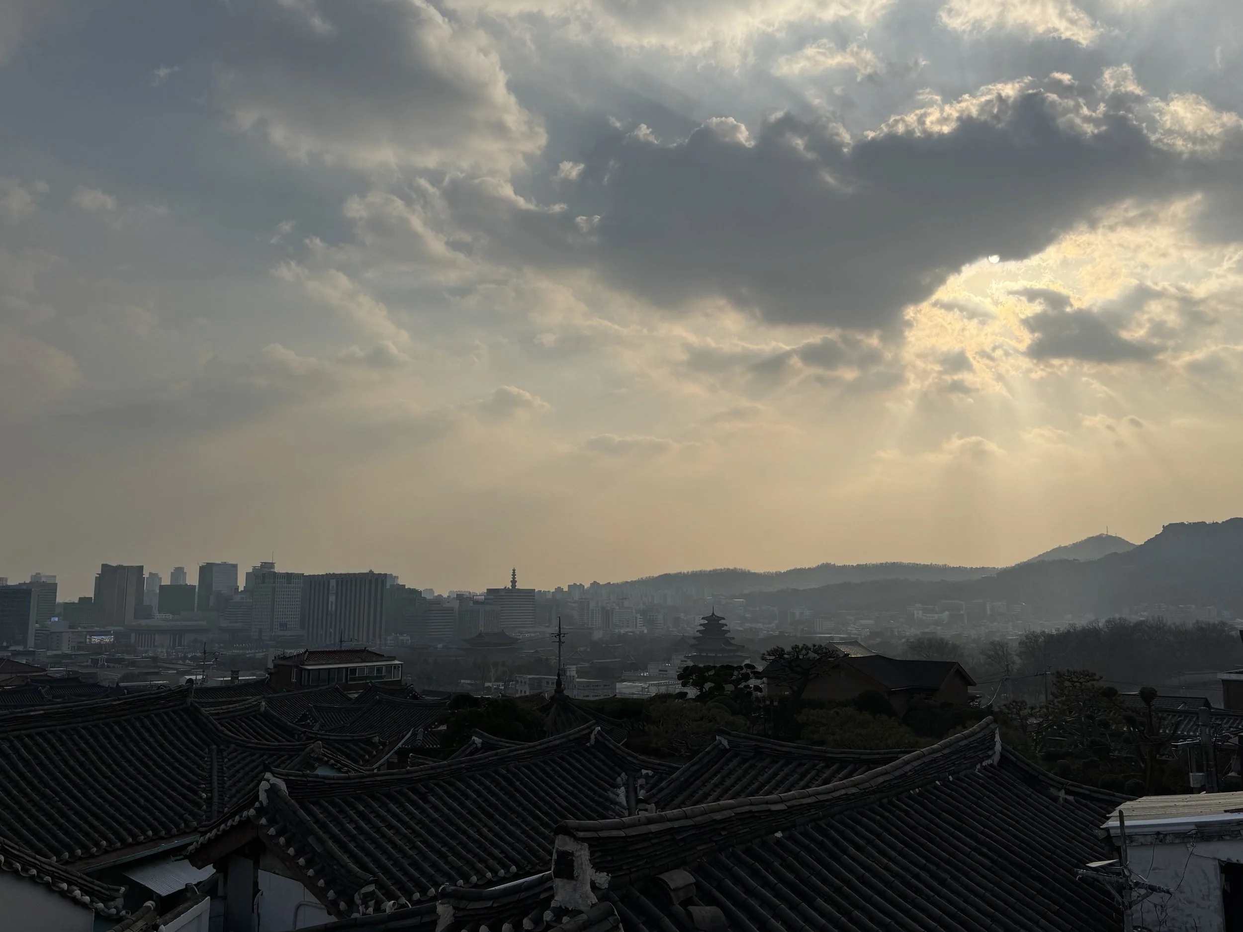 IMG_3406.jpeg