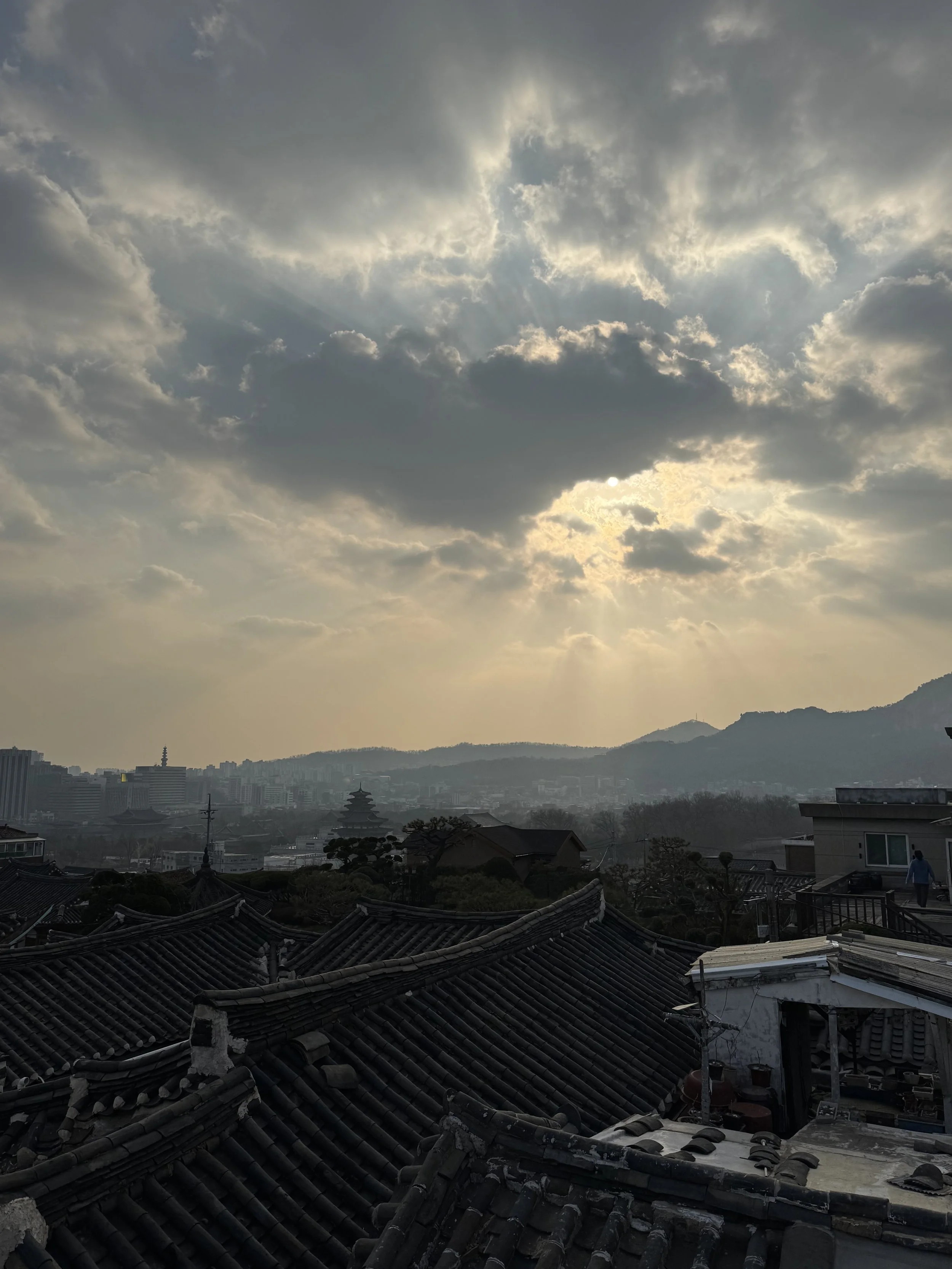 IMG_3410.jpeg