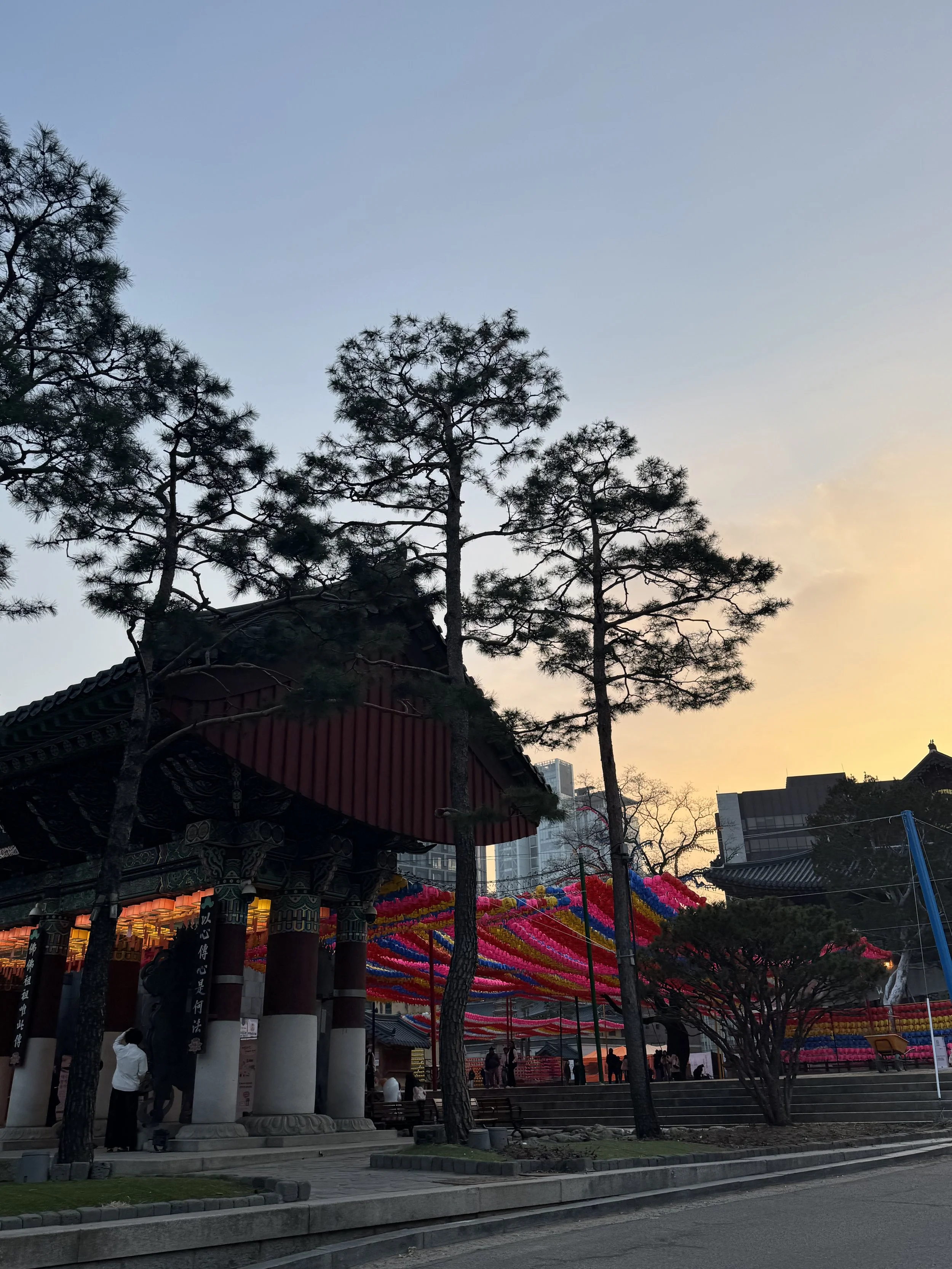 IMG_3414.jpeg