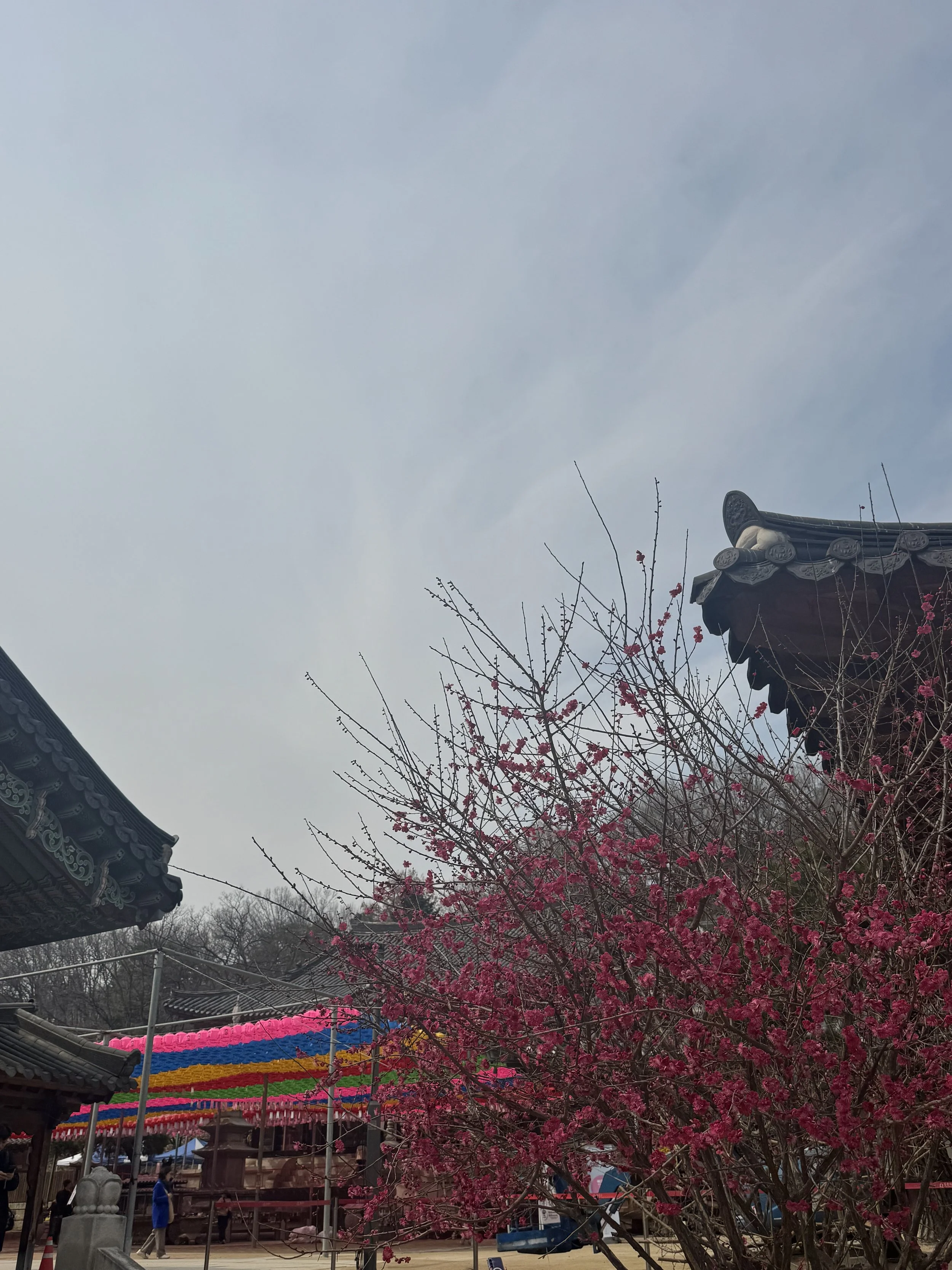 IMG_3444.jpeg
