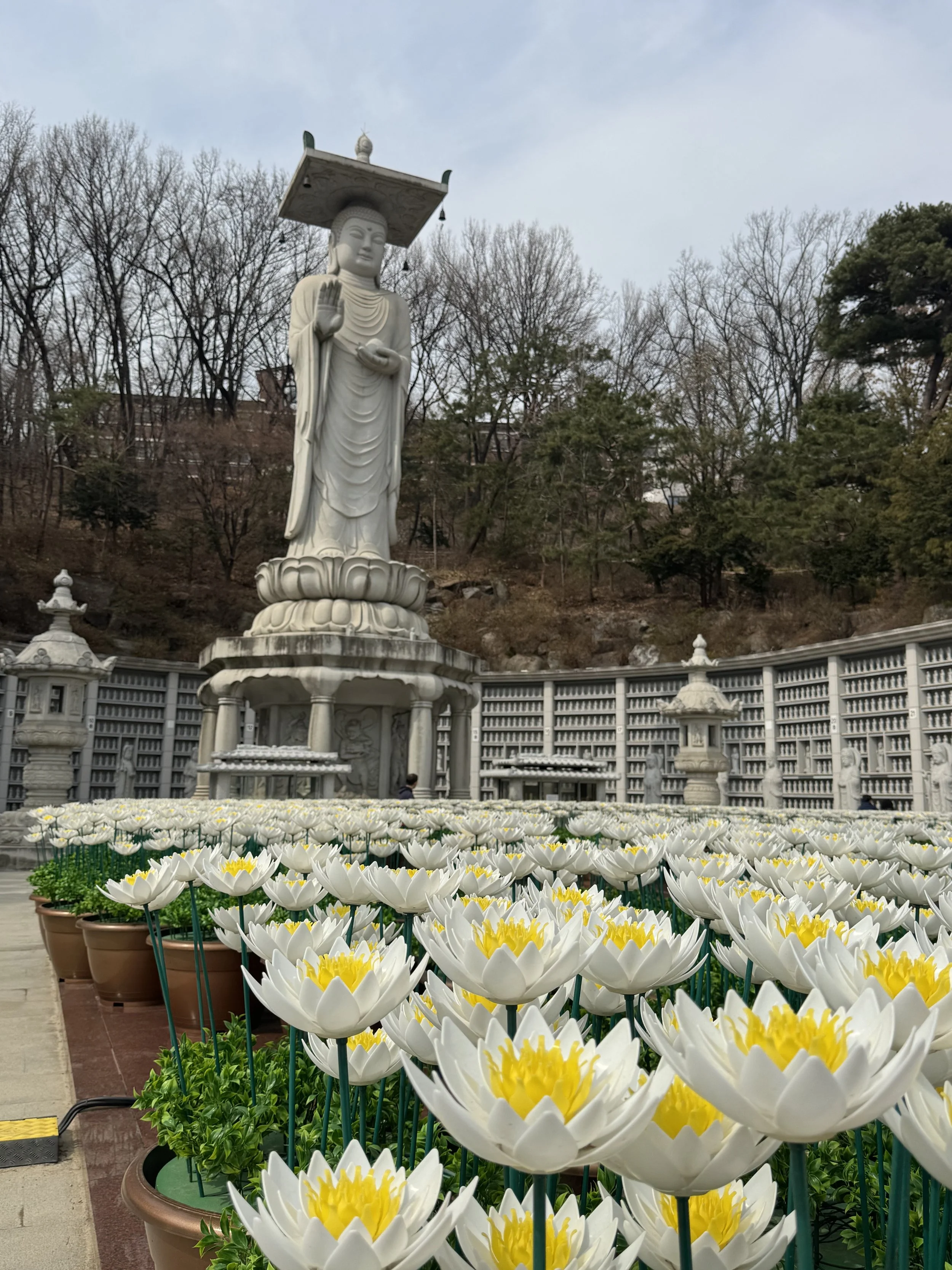 IMG_3454.jpeg