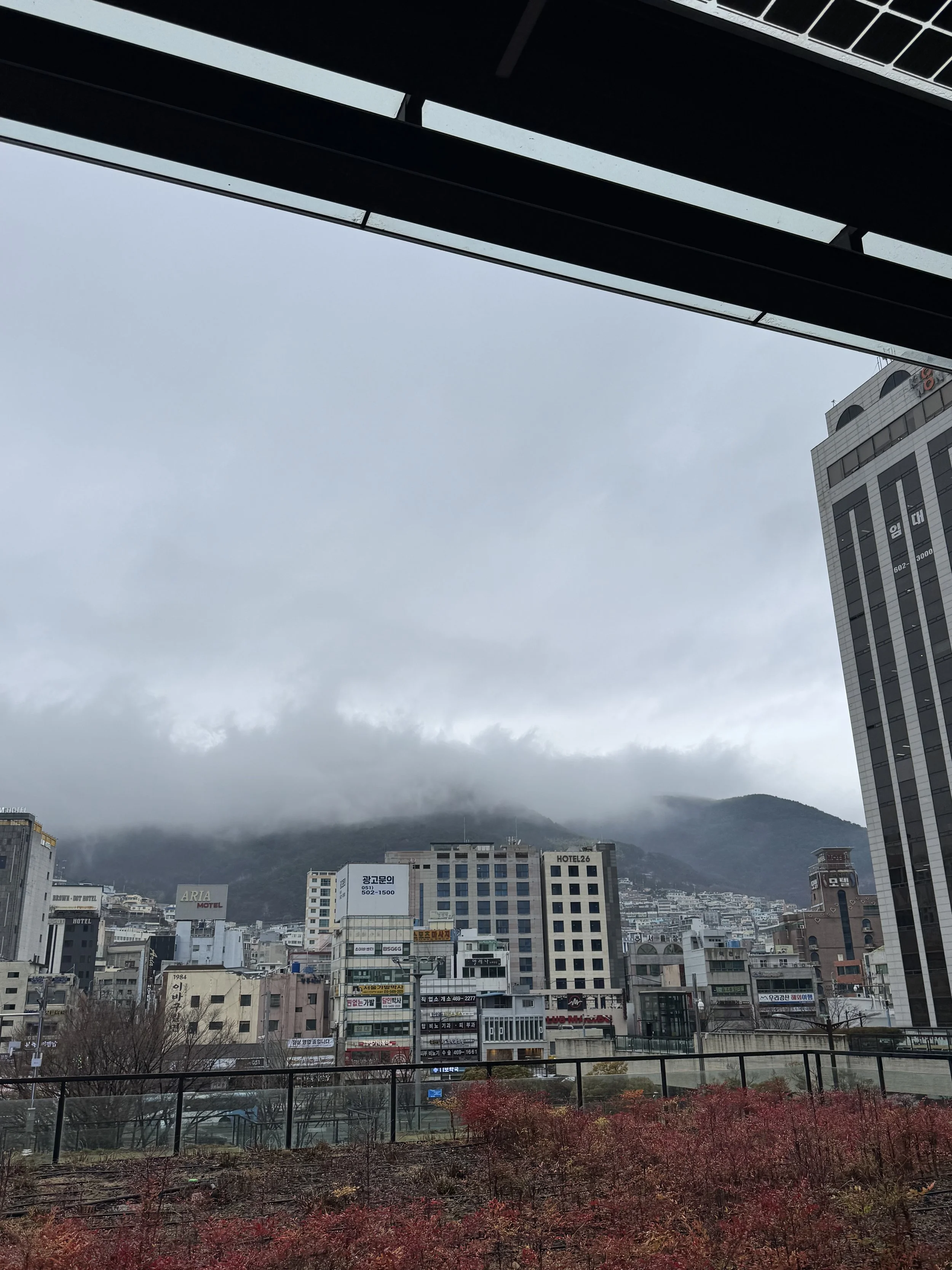 IMG_3584.jpeg