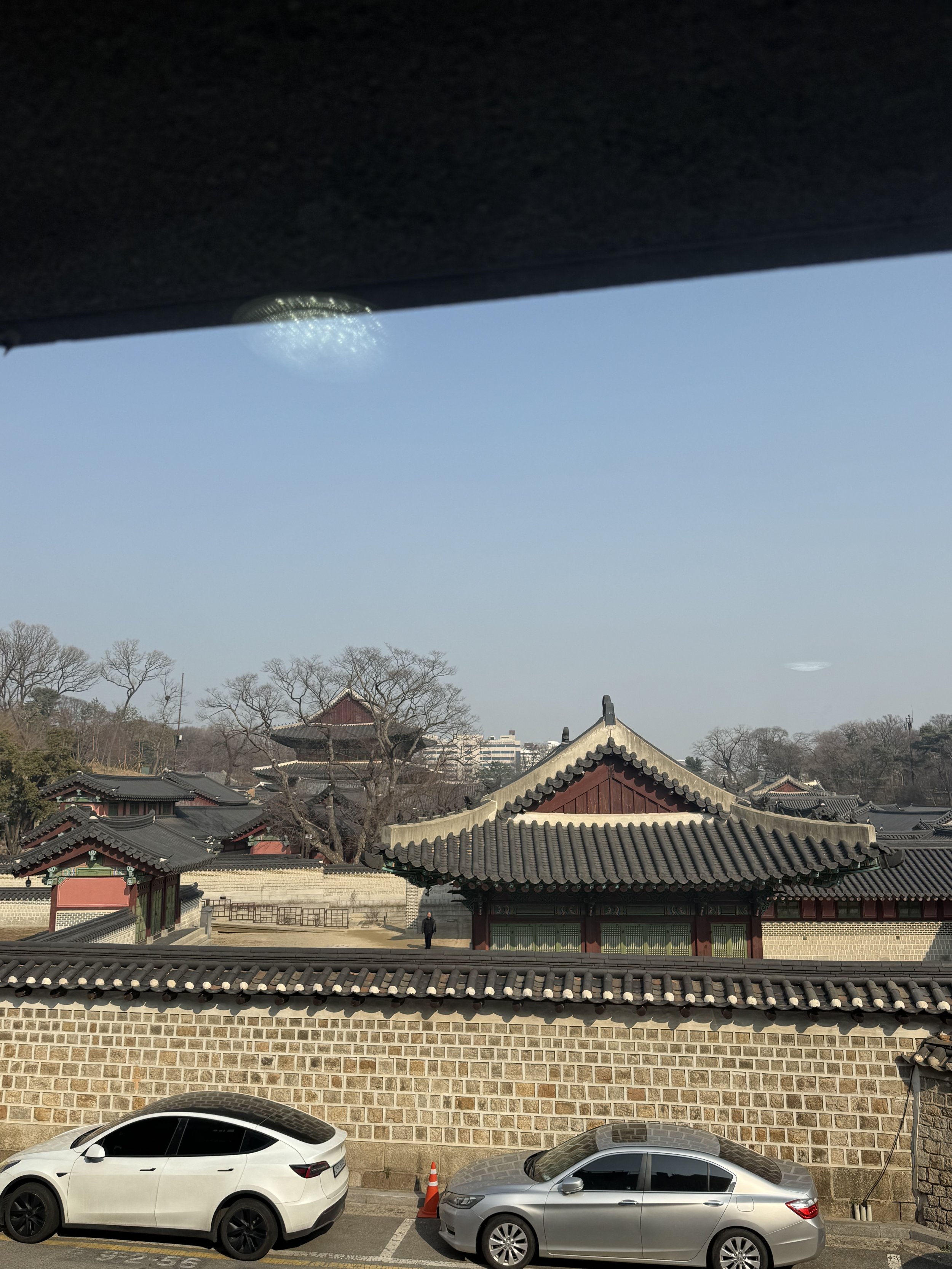 IMG_3533.jpeg