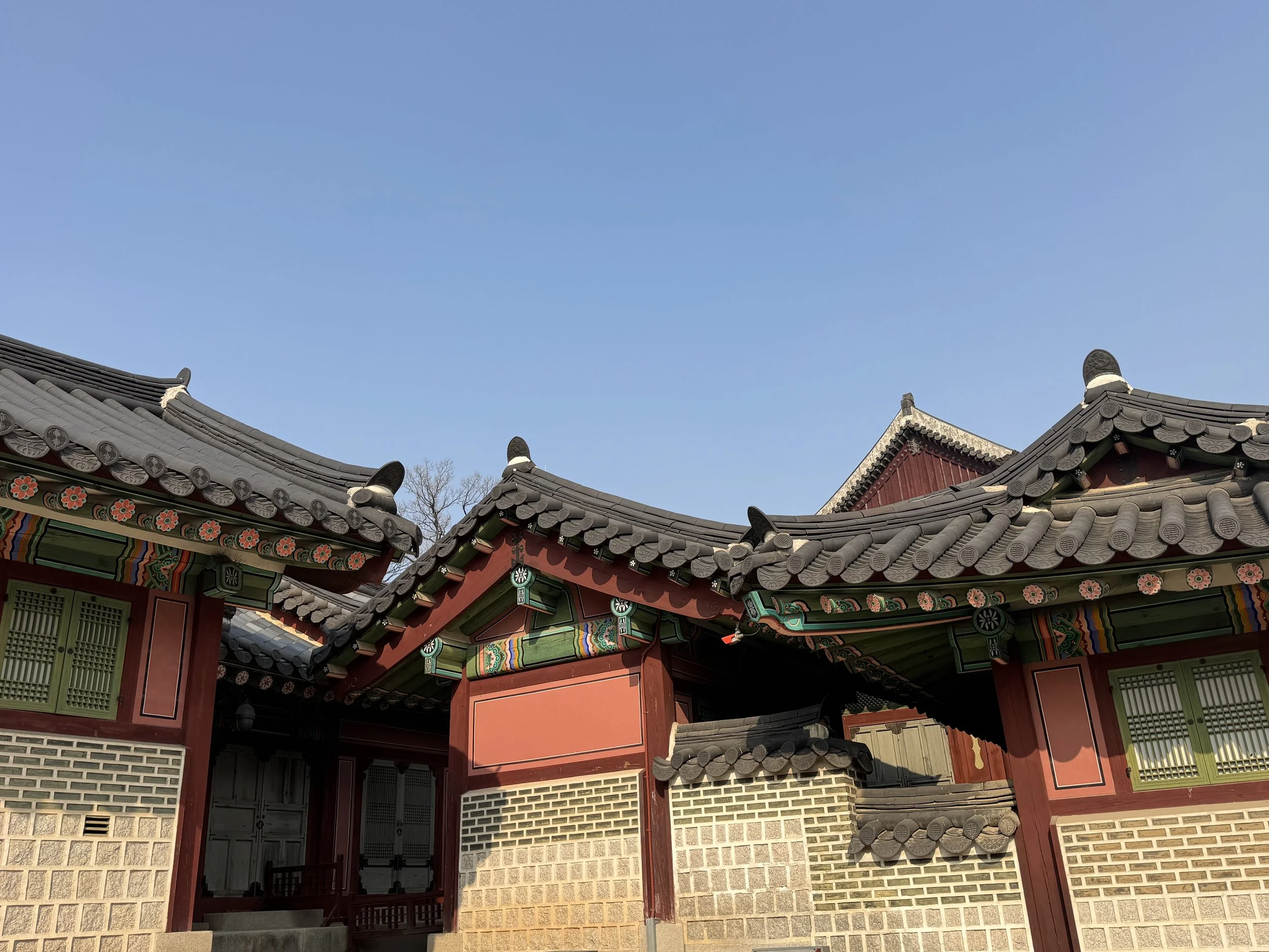 IMG_3548.jpeg