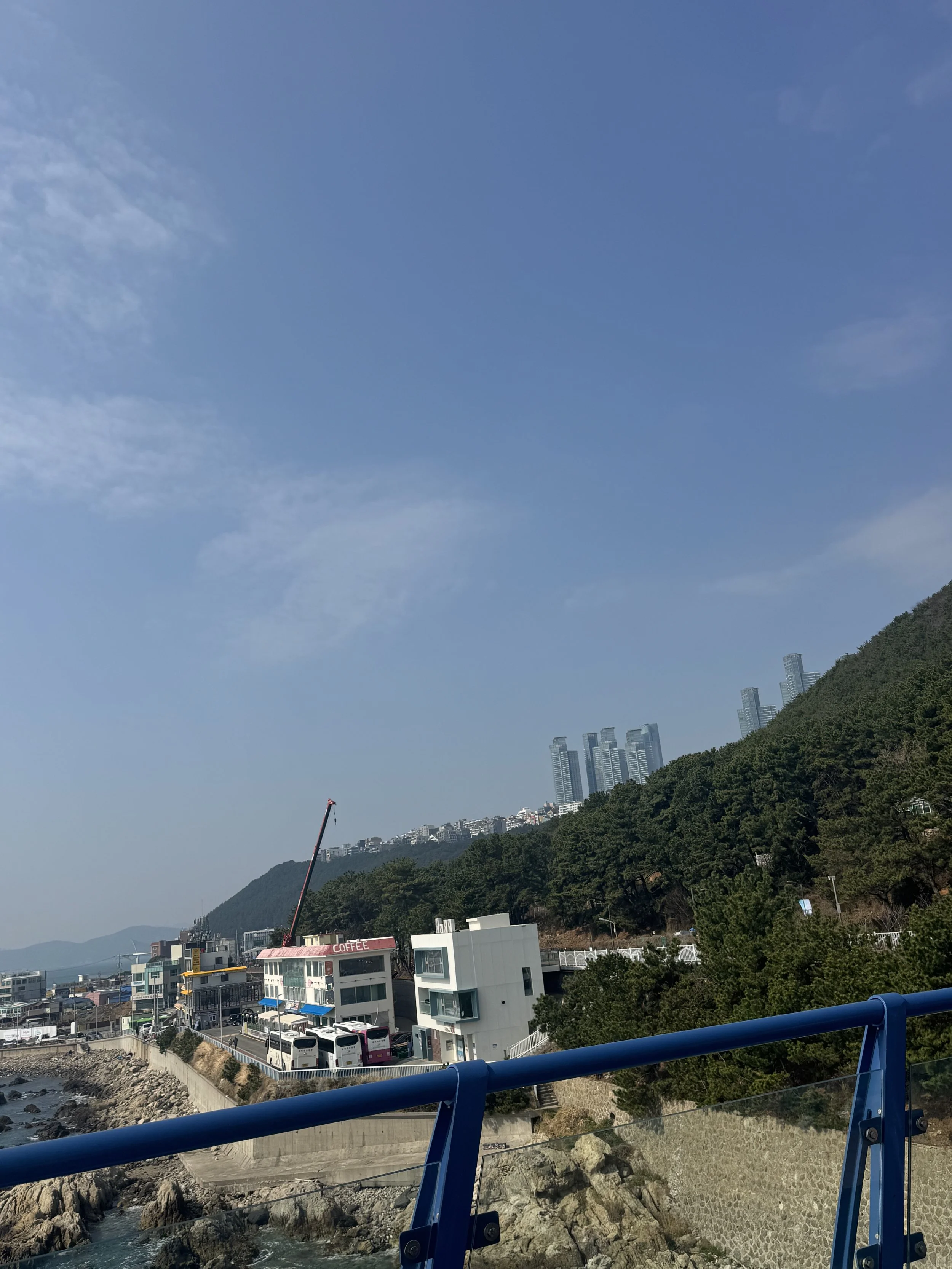 IMG_3614.jpeg