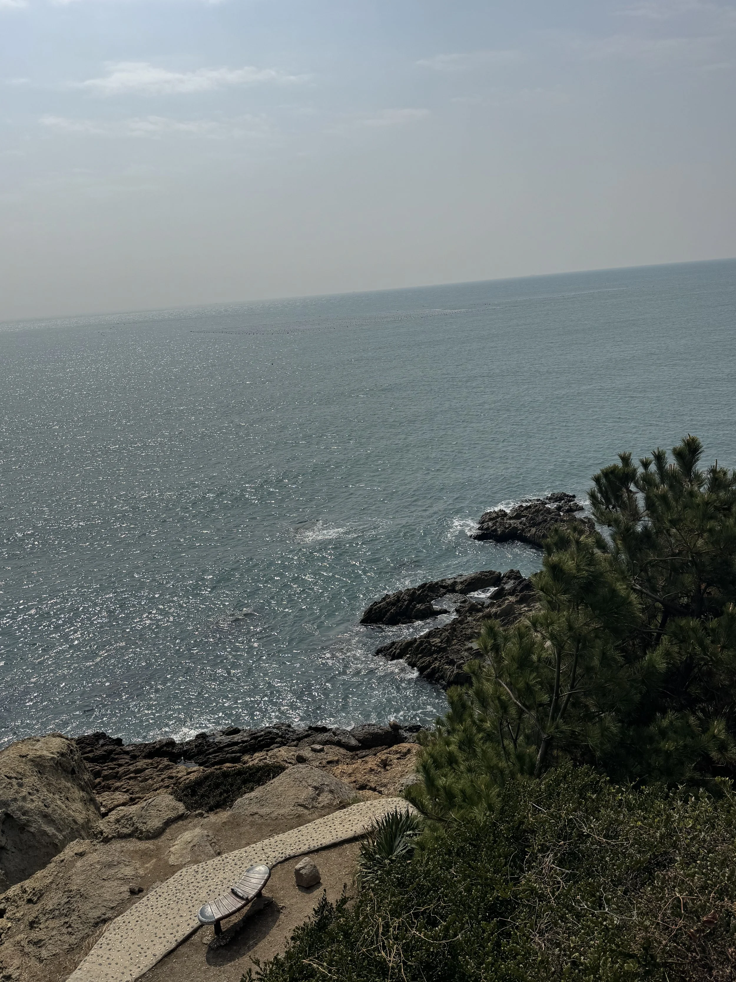 IMG_3626.jpeg