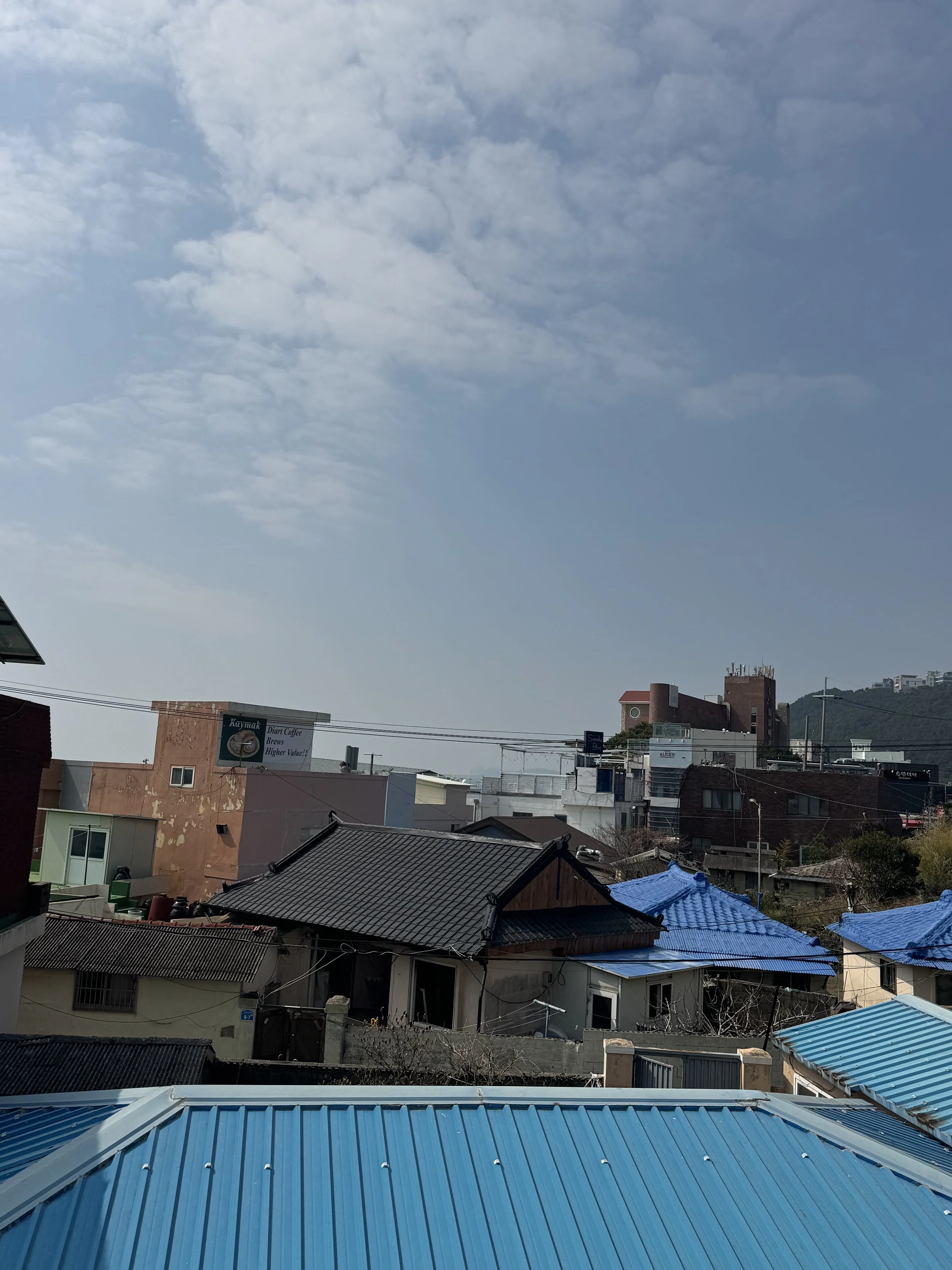 IMG_3661.jpeg