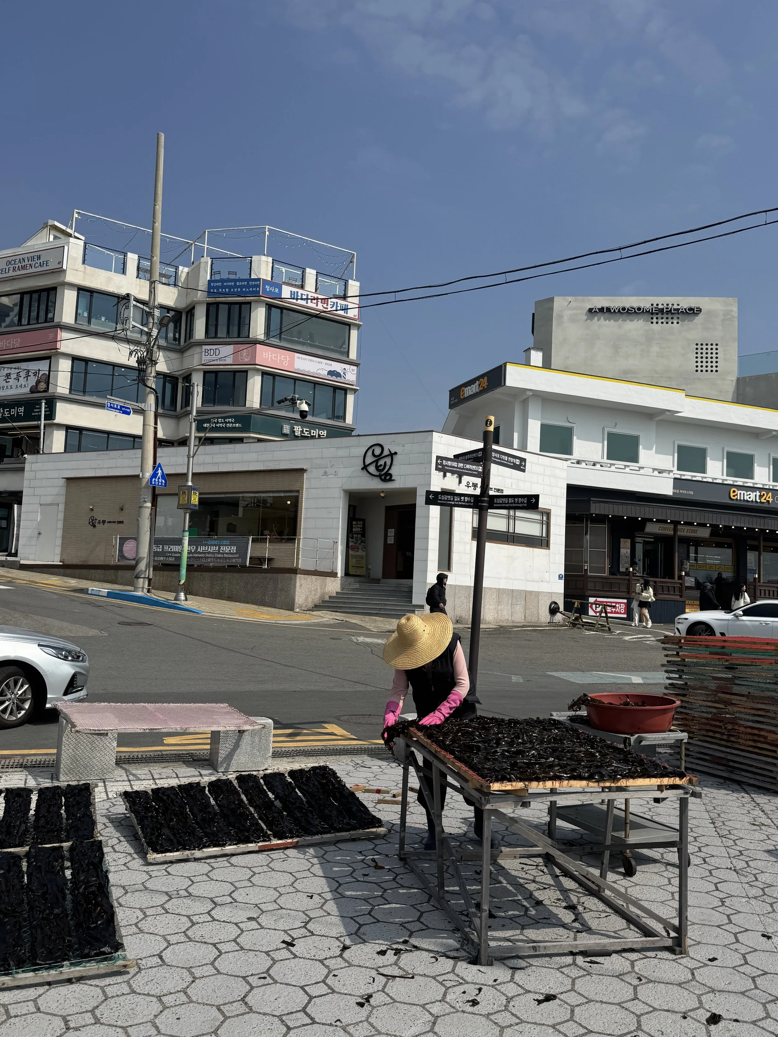 IMG_3664.jpeg