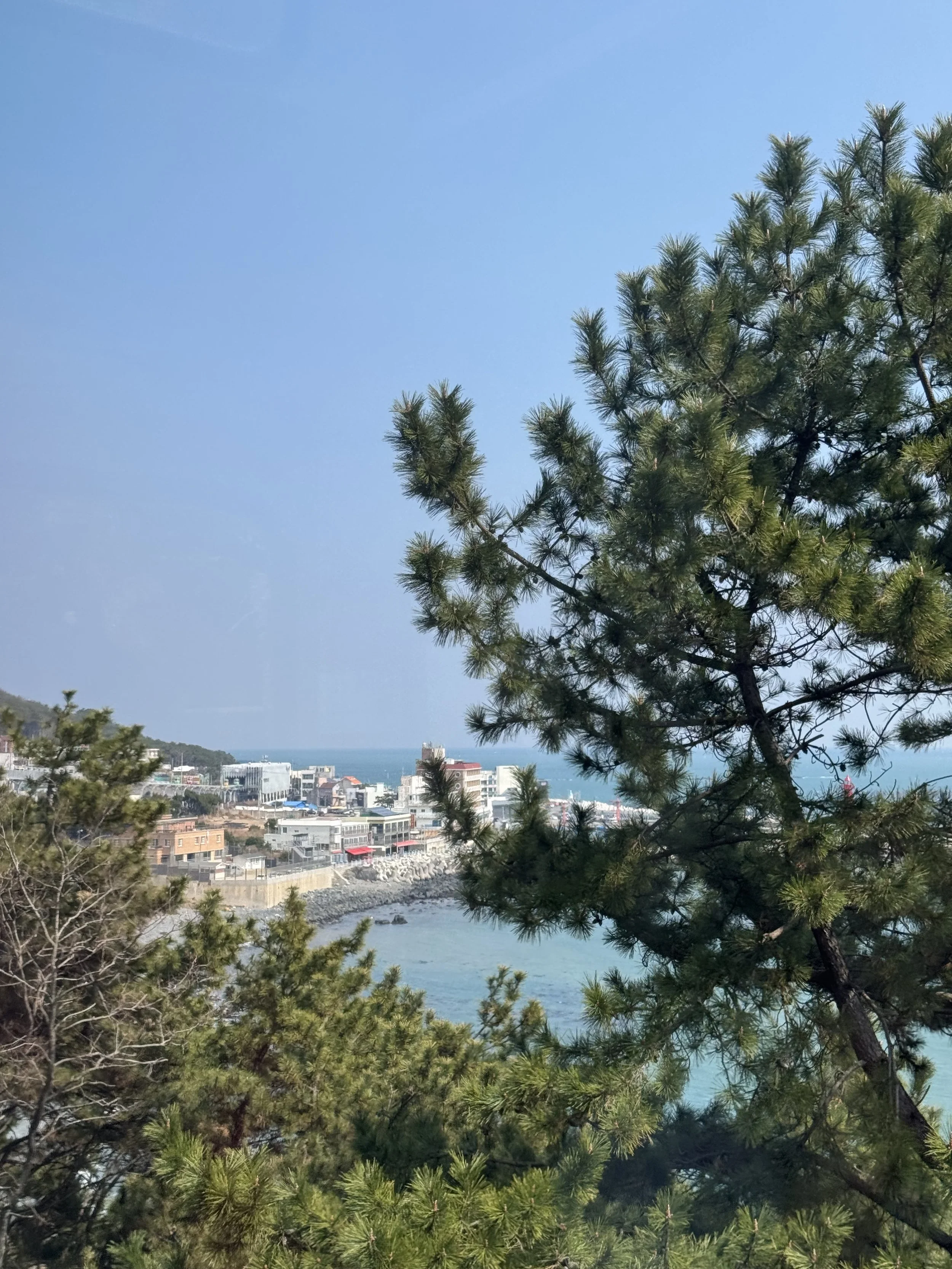 IMG_3709.jpeg