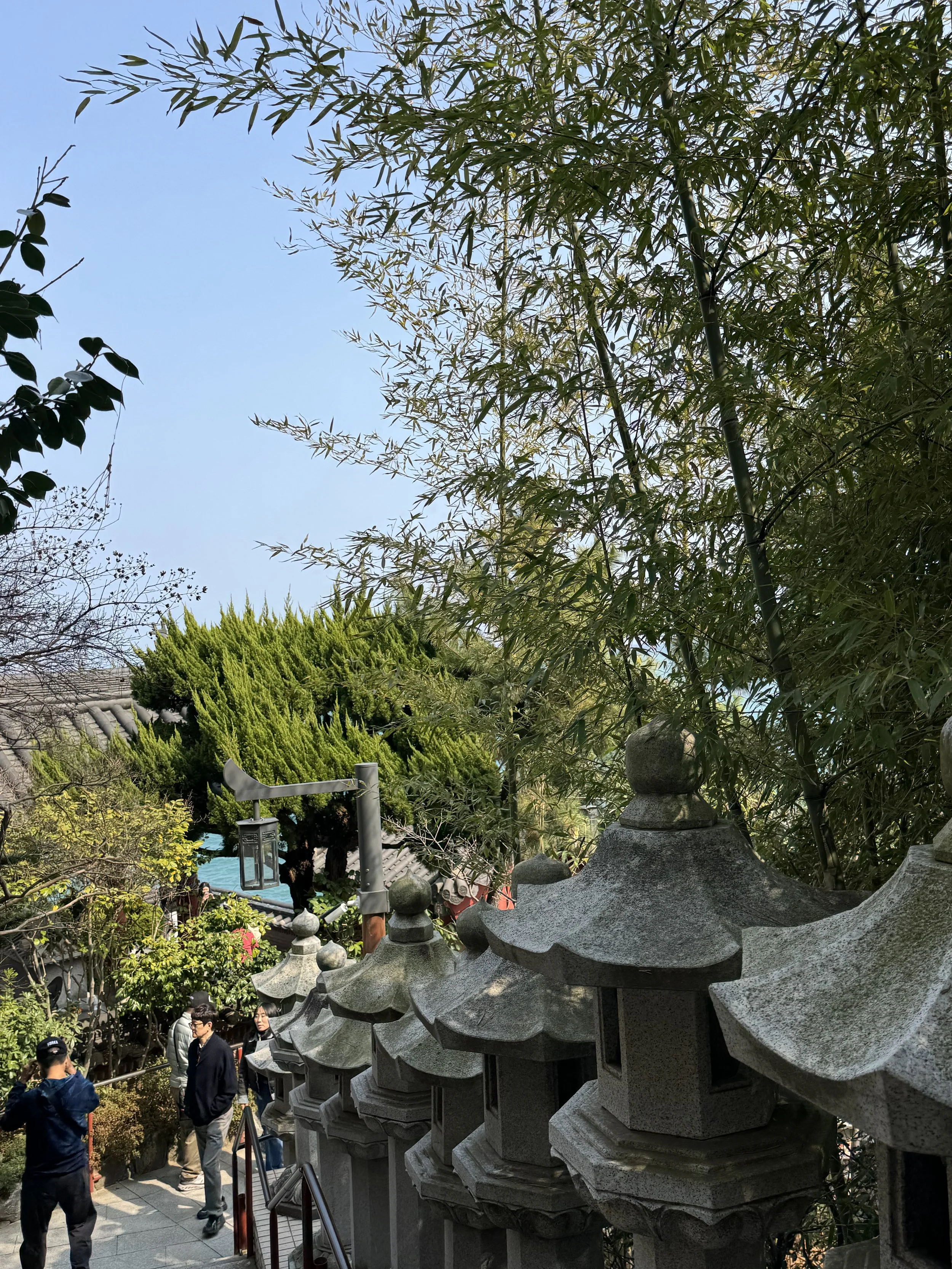 IMG_3781.jpeg