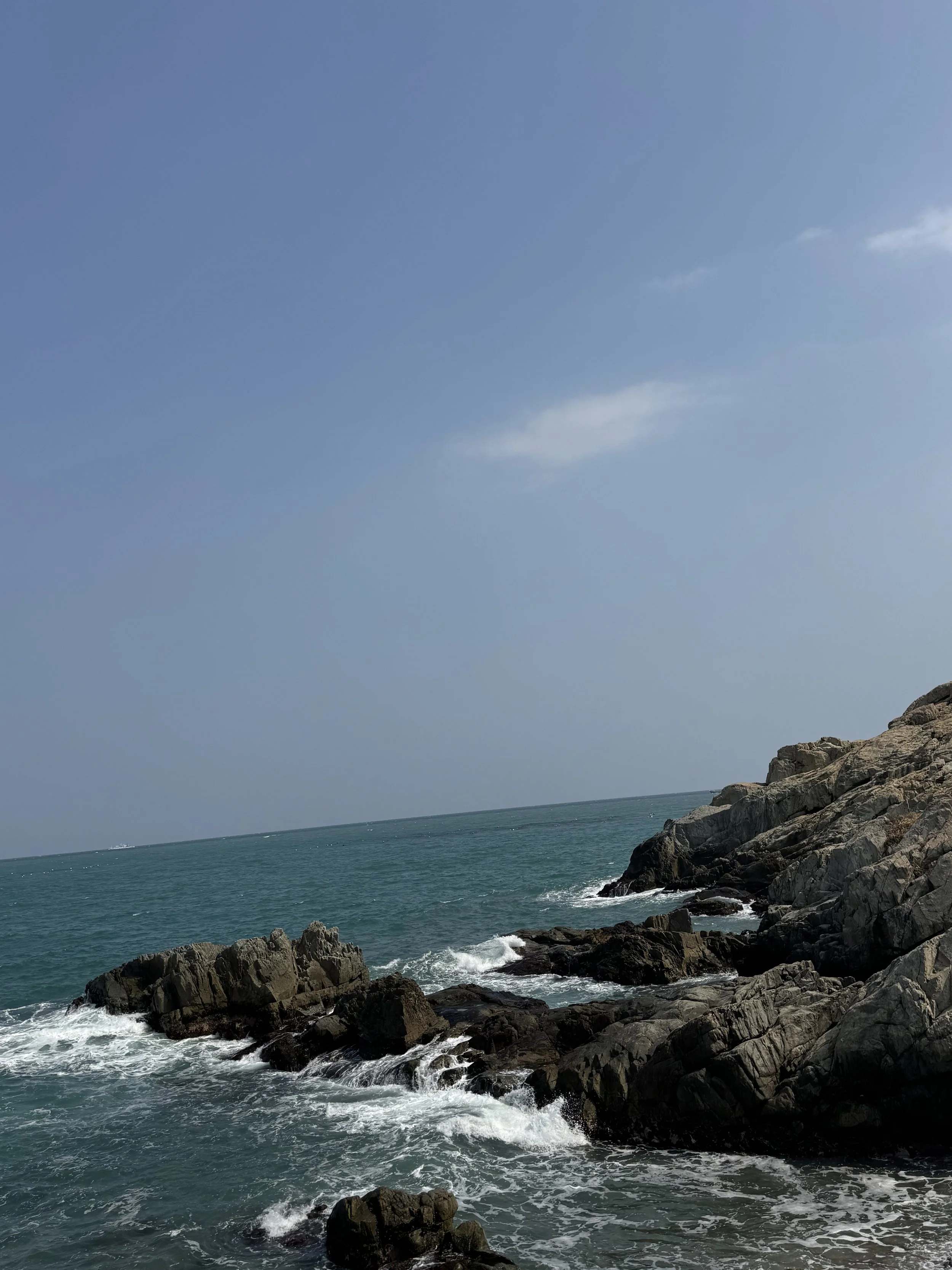 IMG_3783.jpeg