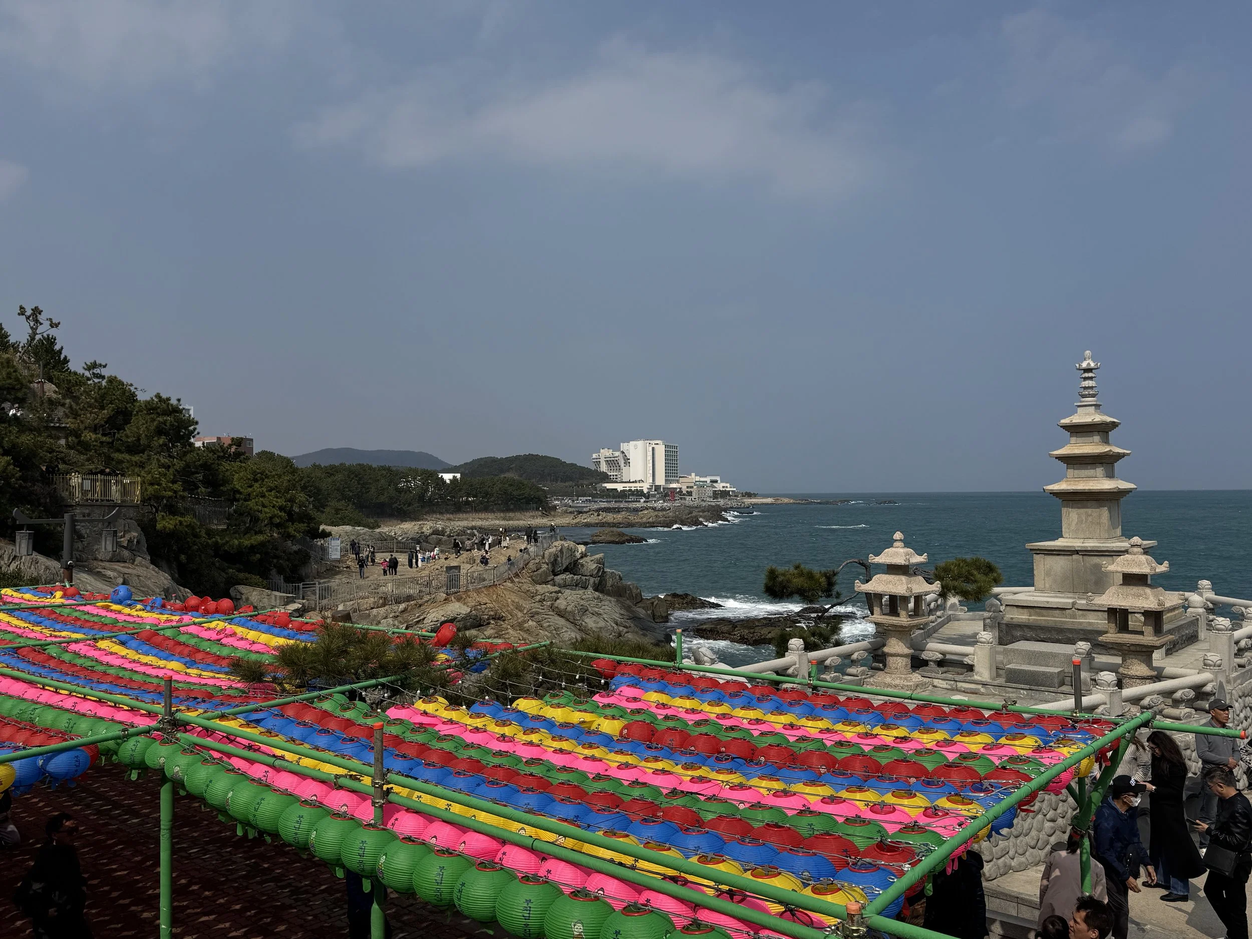 IMG_3801.jpeg