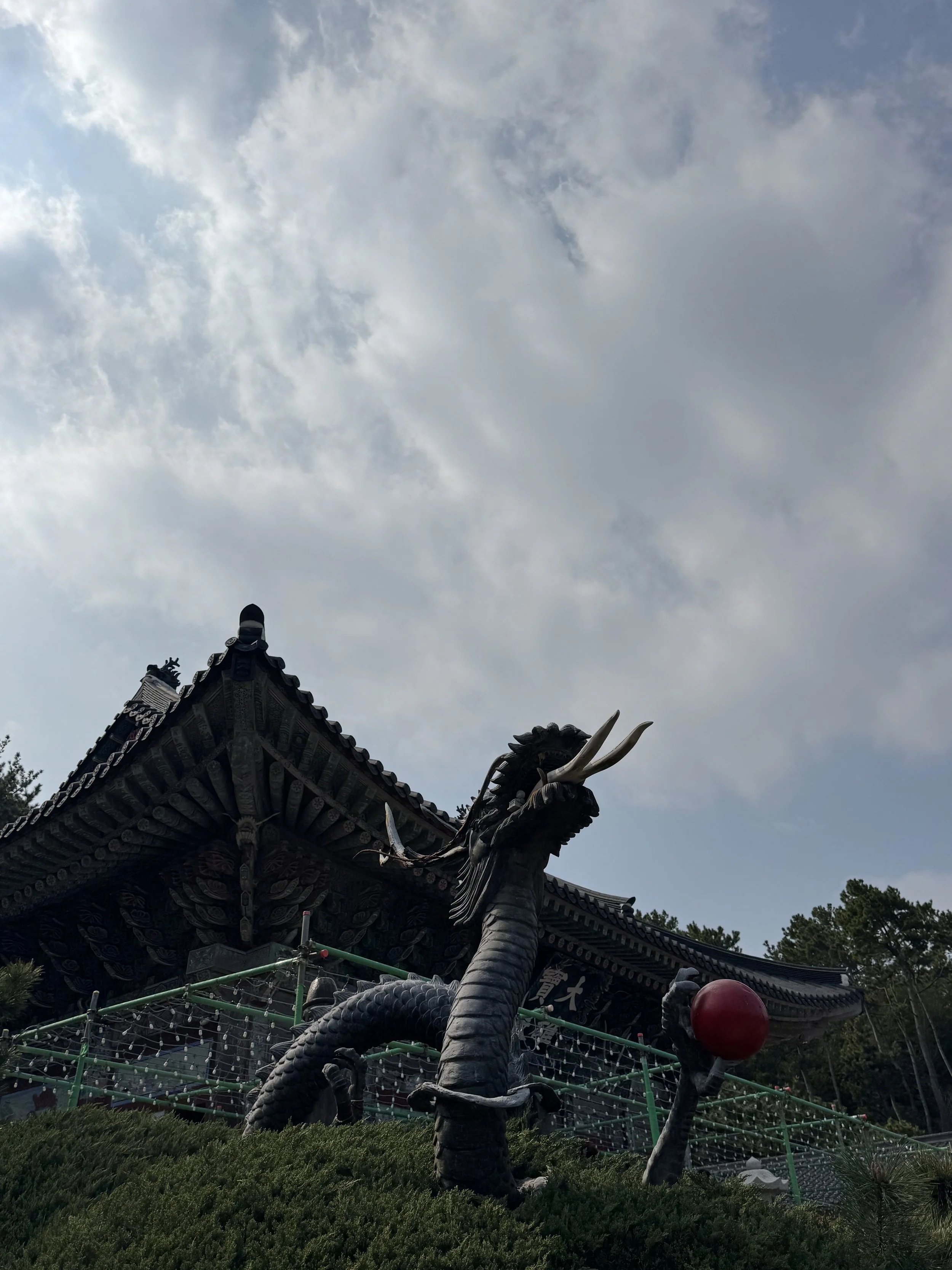 IMG_3798.jpeg