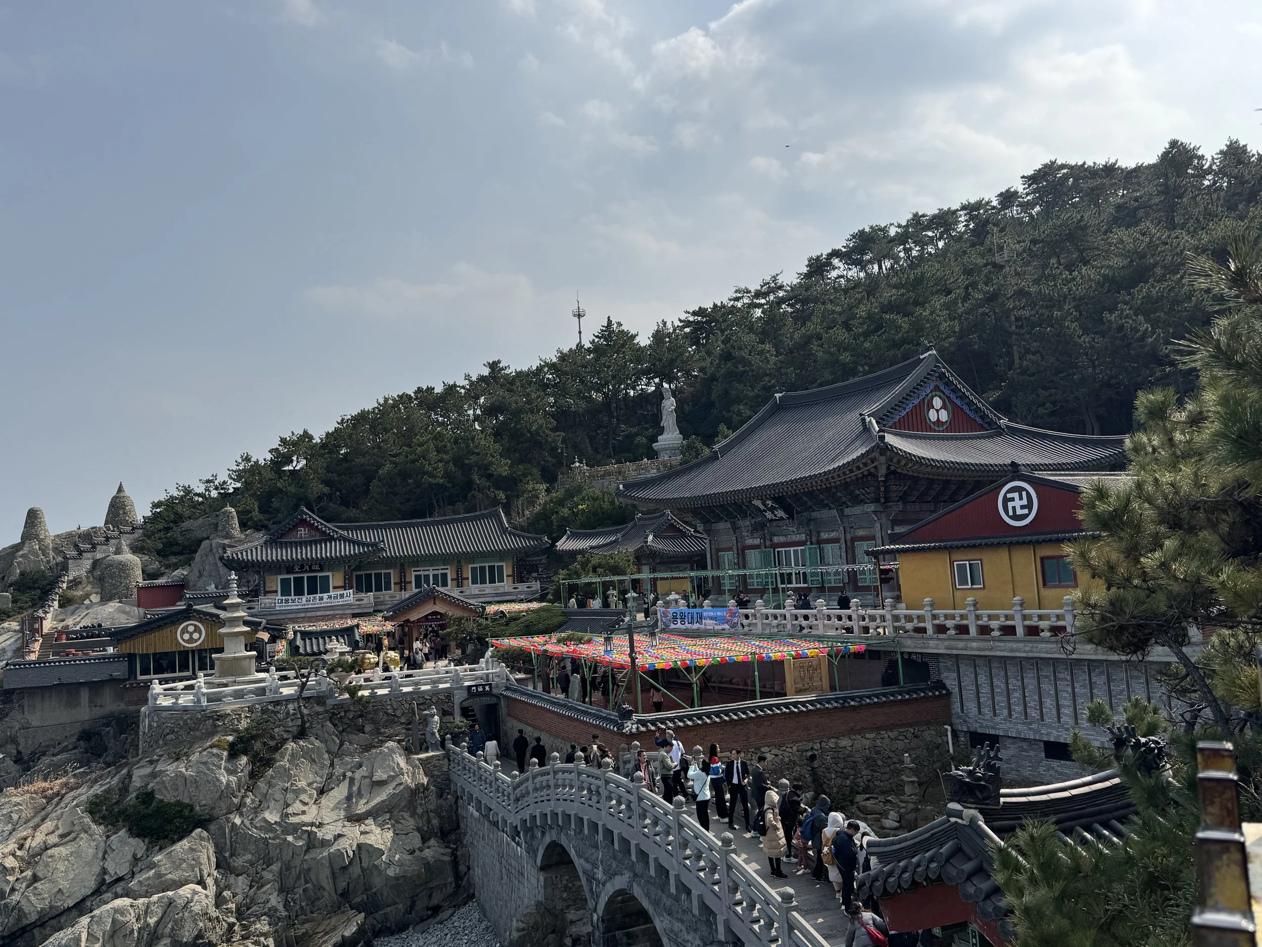 IMG_3816.jpeg