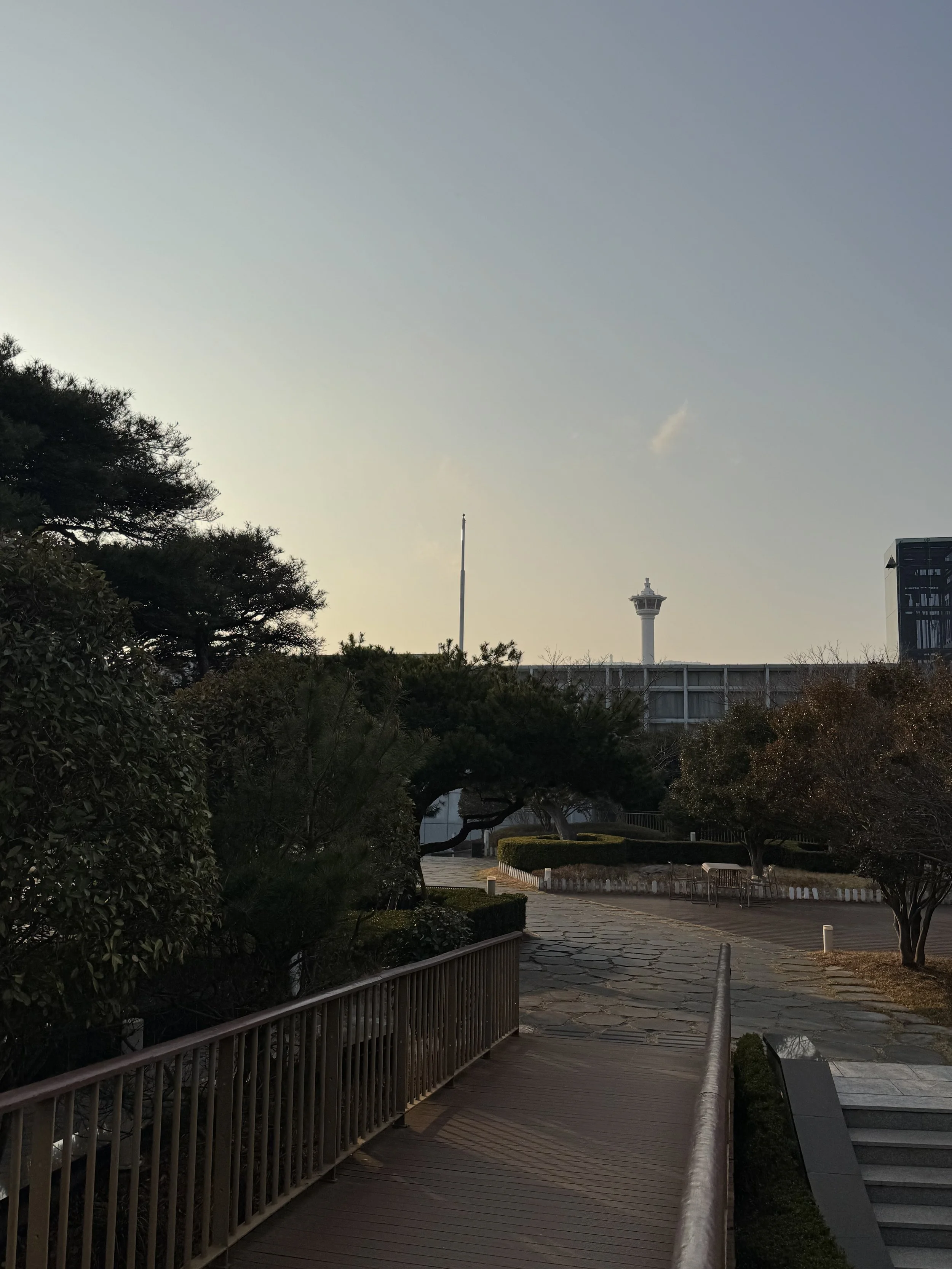 IMG_3857.jpeg