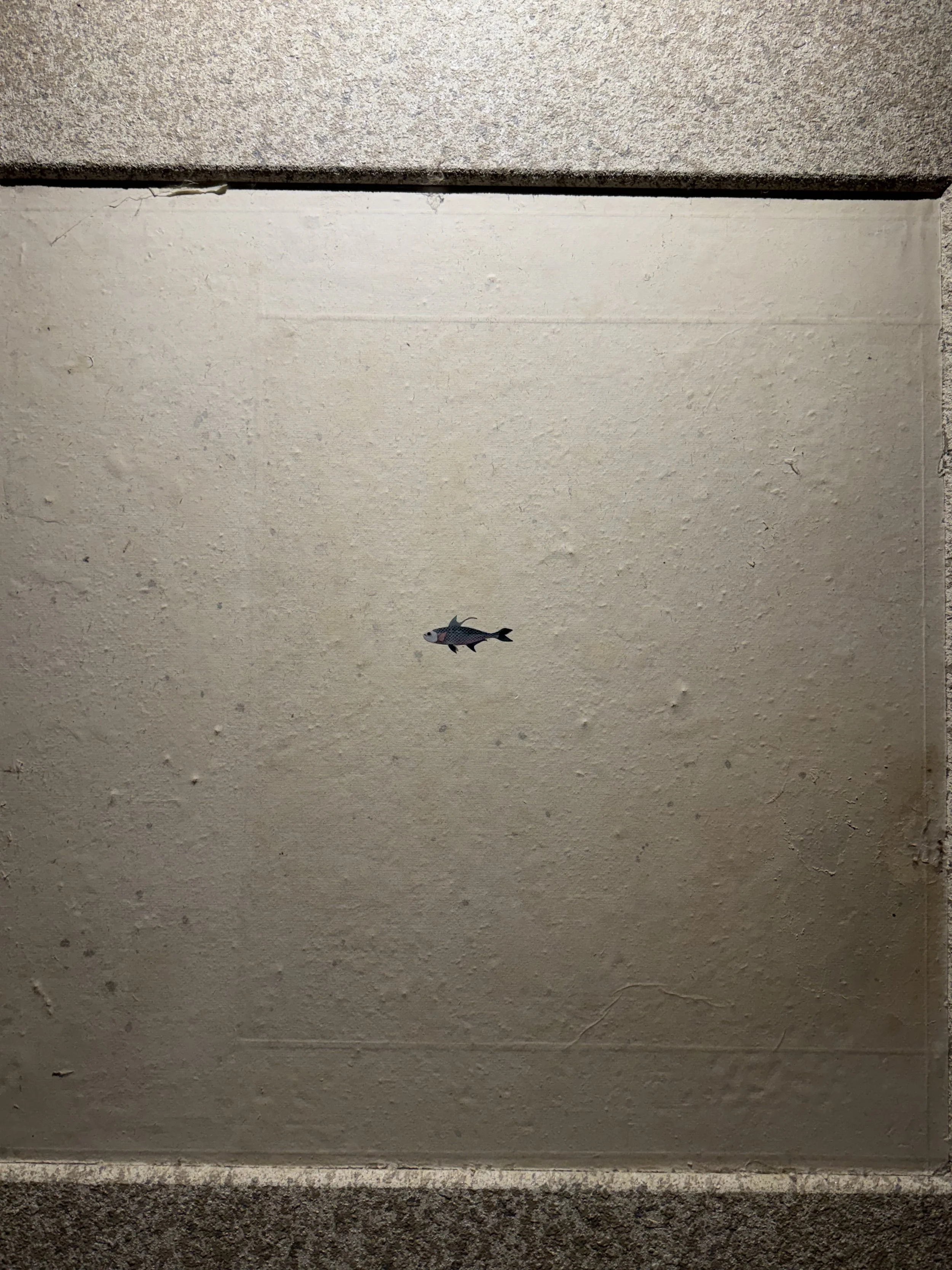 IMG_4016.jpeg