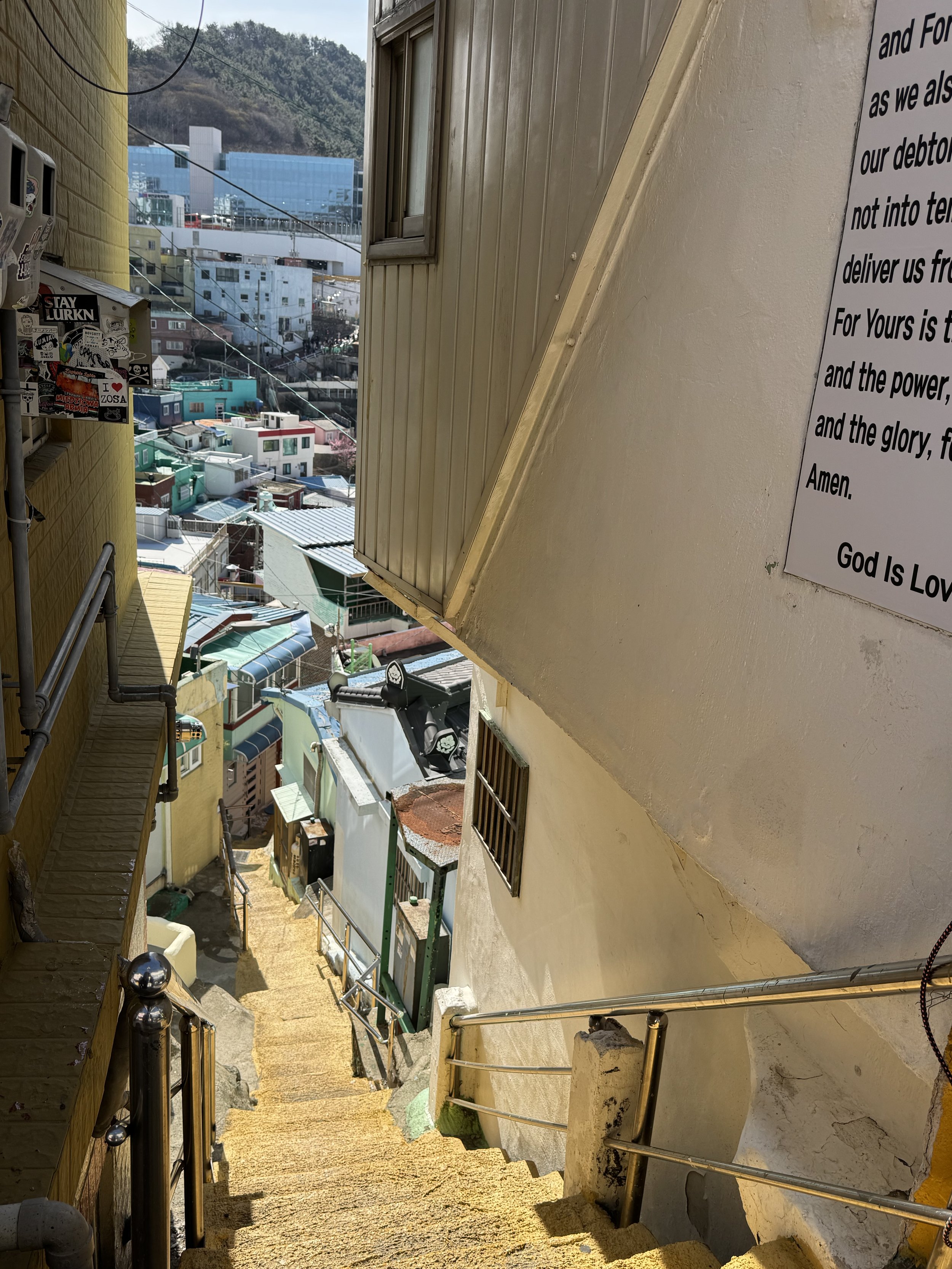 IMG_4067.jpeg