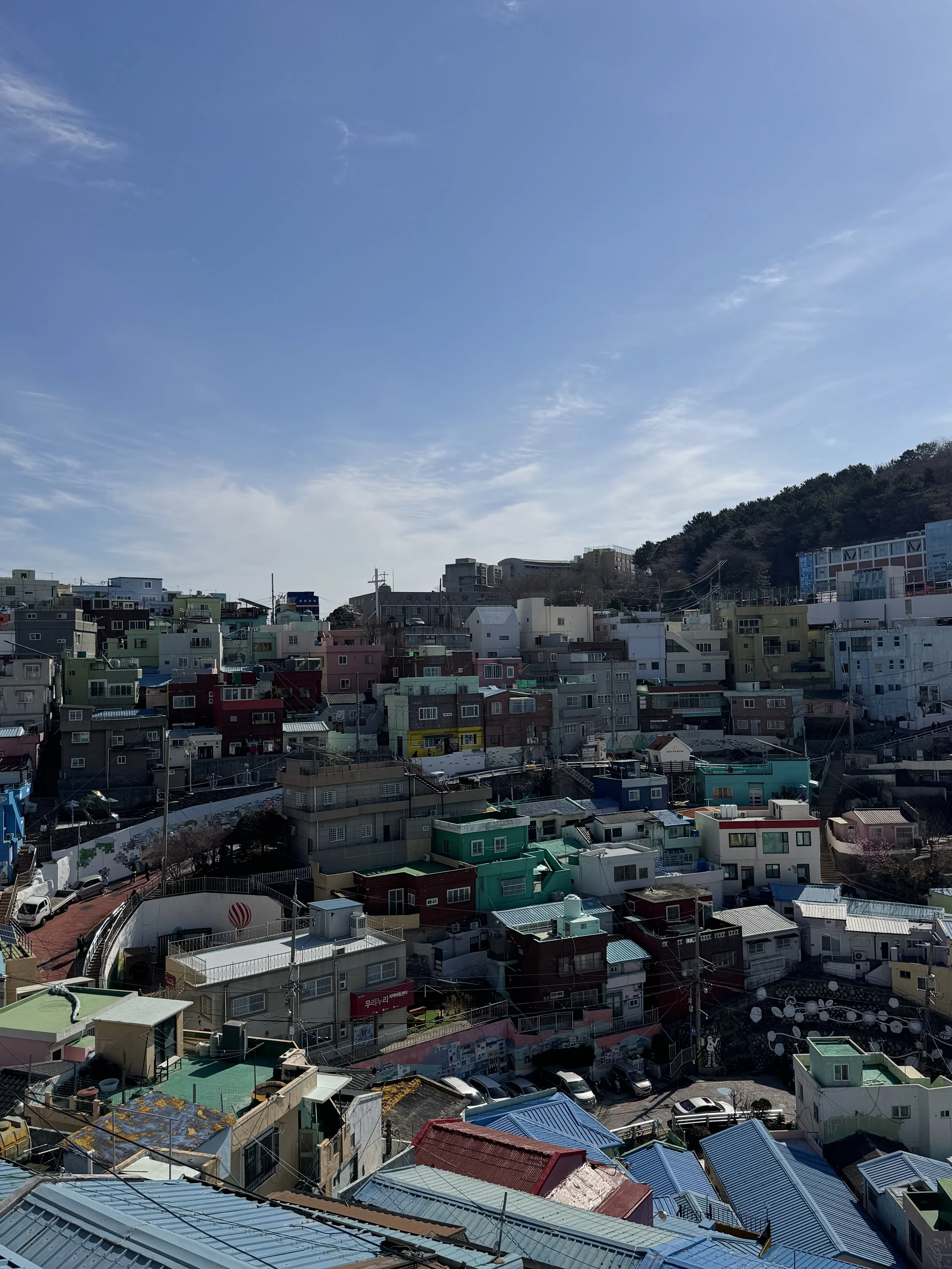 IMG_4070.jpeg