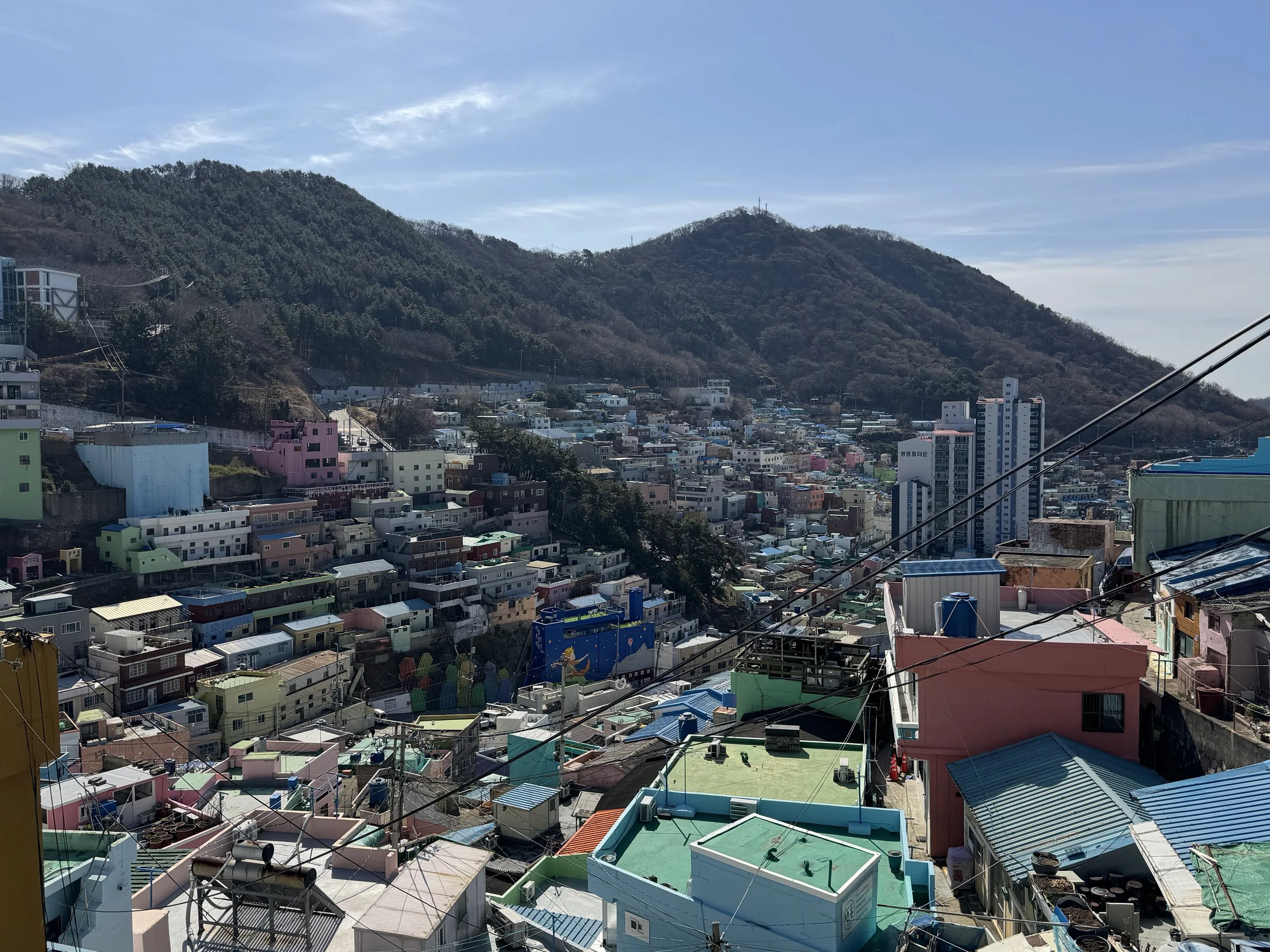 IMG_4072.jpeg