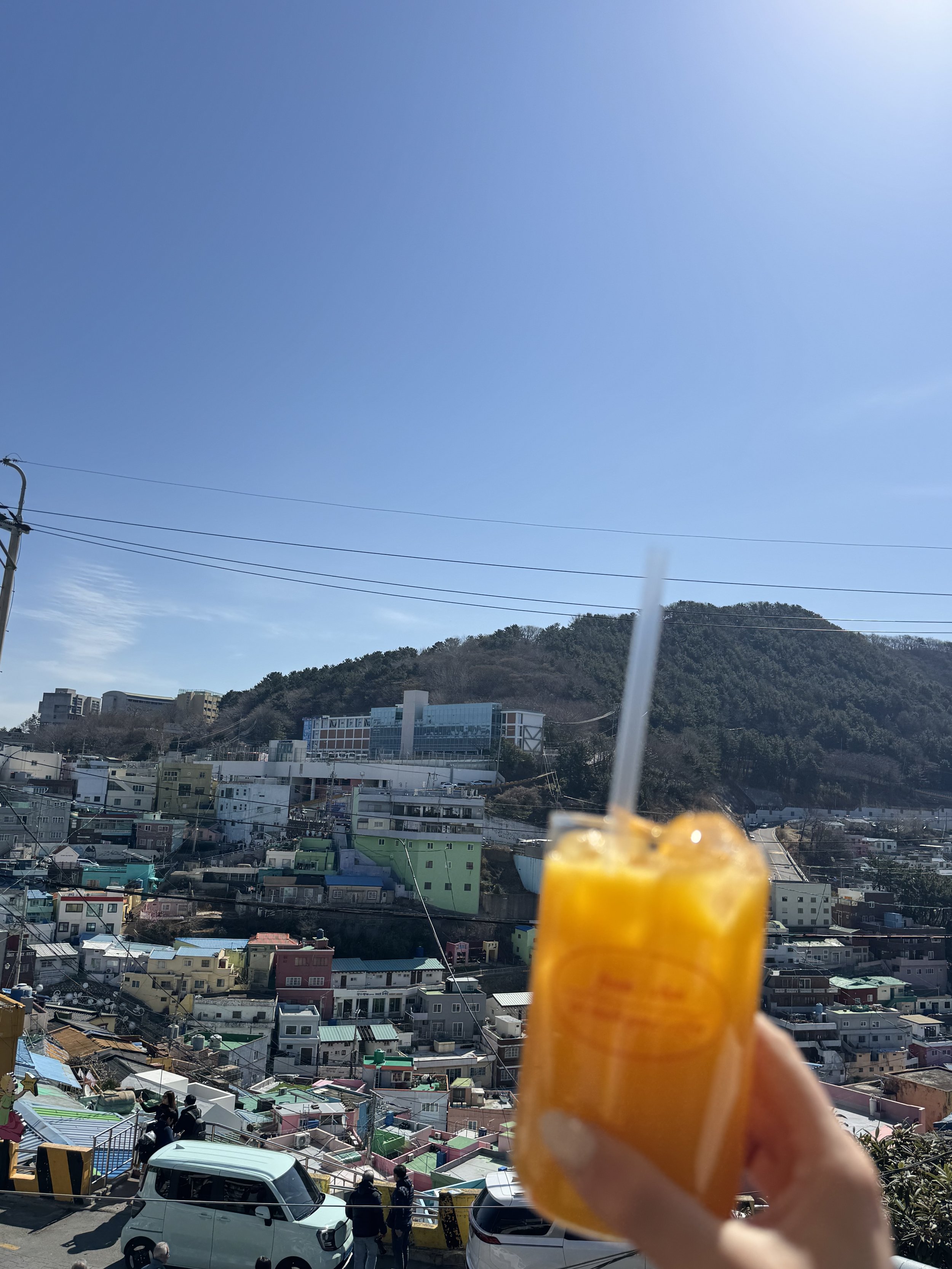 IMG_4081.jpeg
