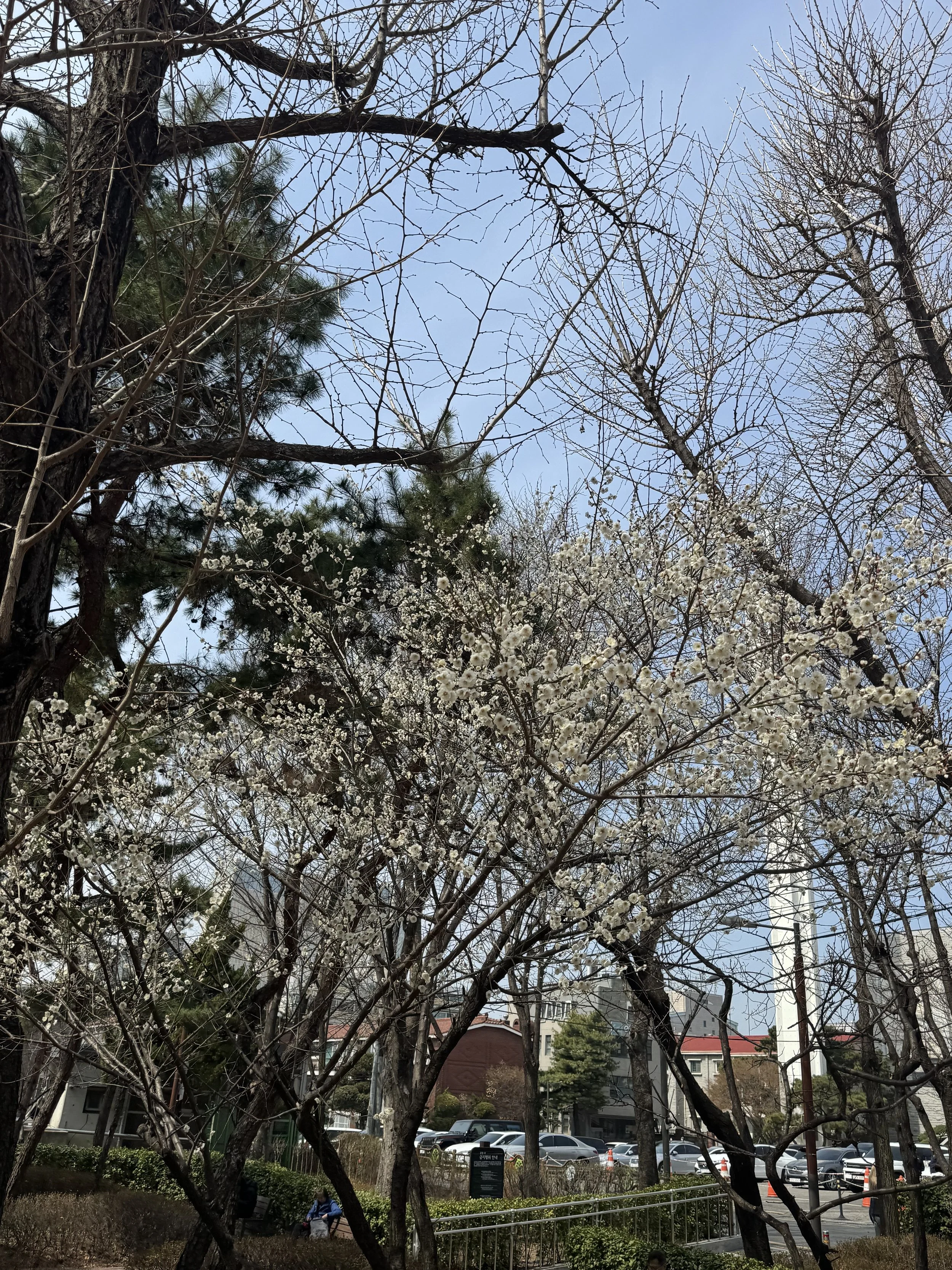 IMG_4111.jpeg