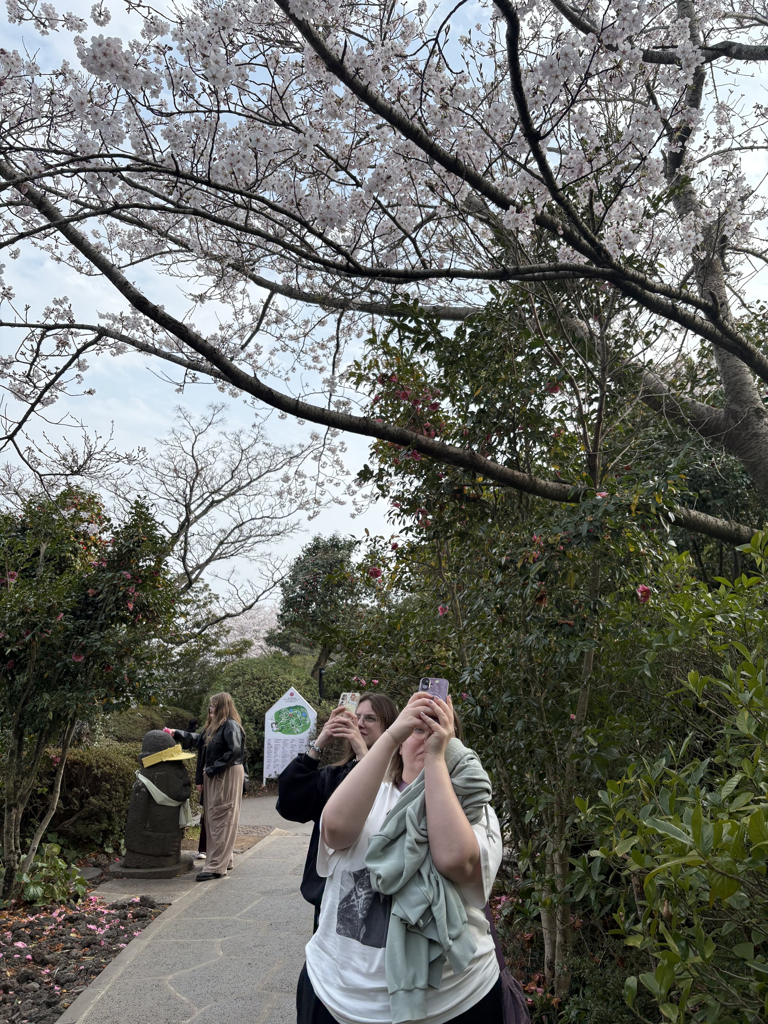 IMG_4321.jpeg