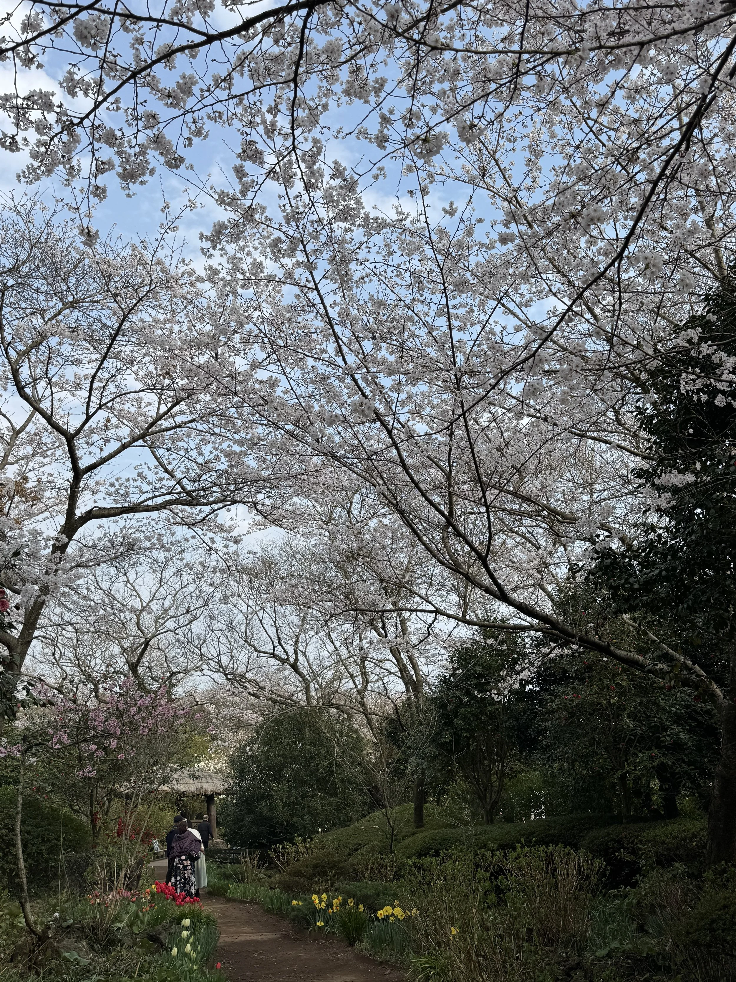 IMG_4225.jpeg