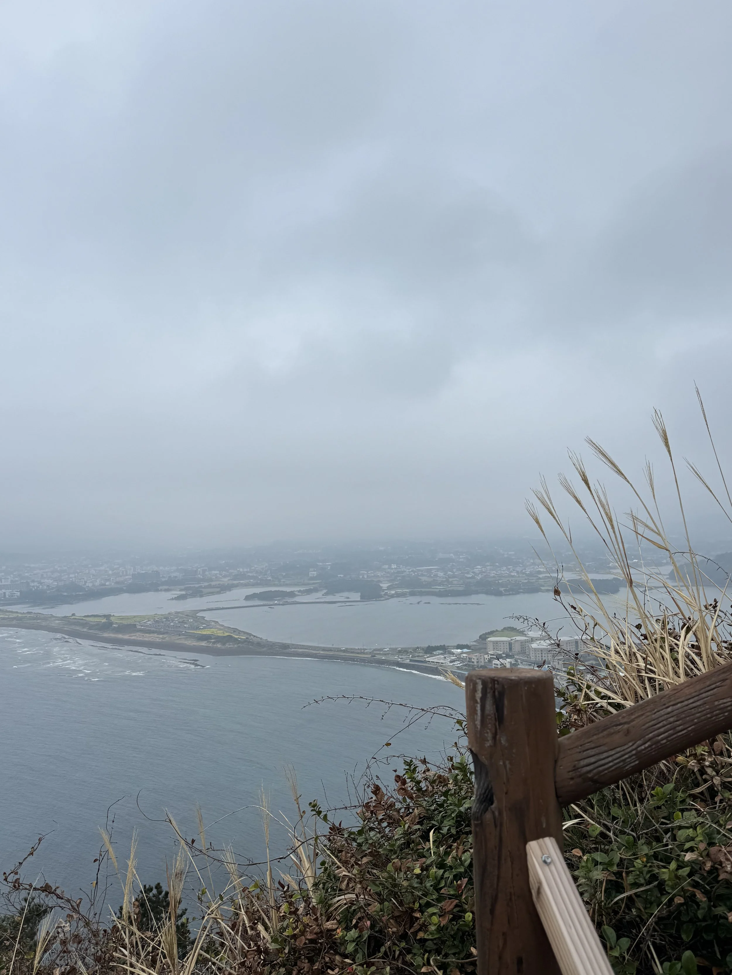 IMG_4259.jpeg