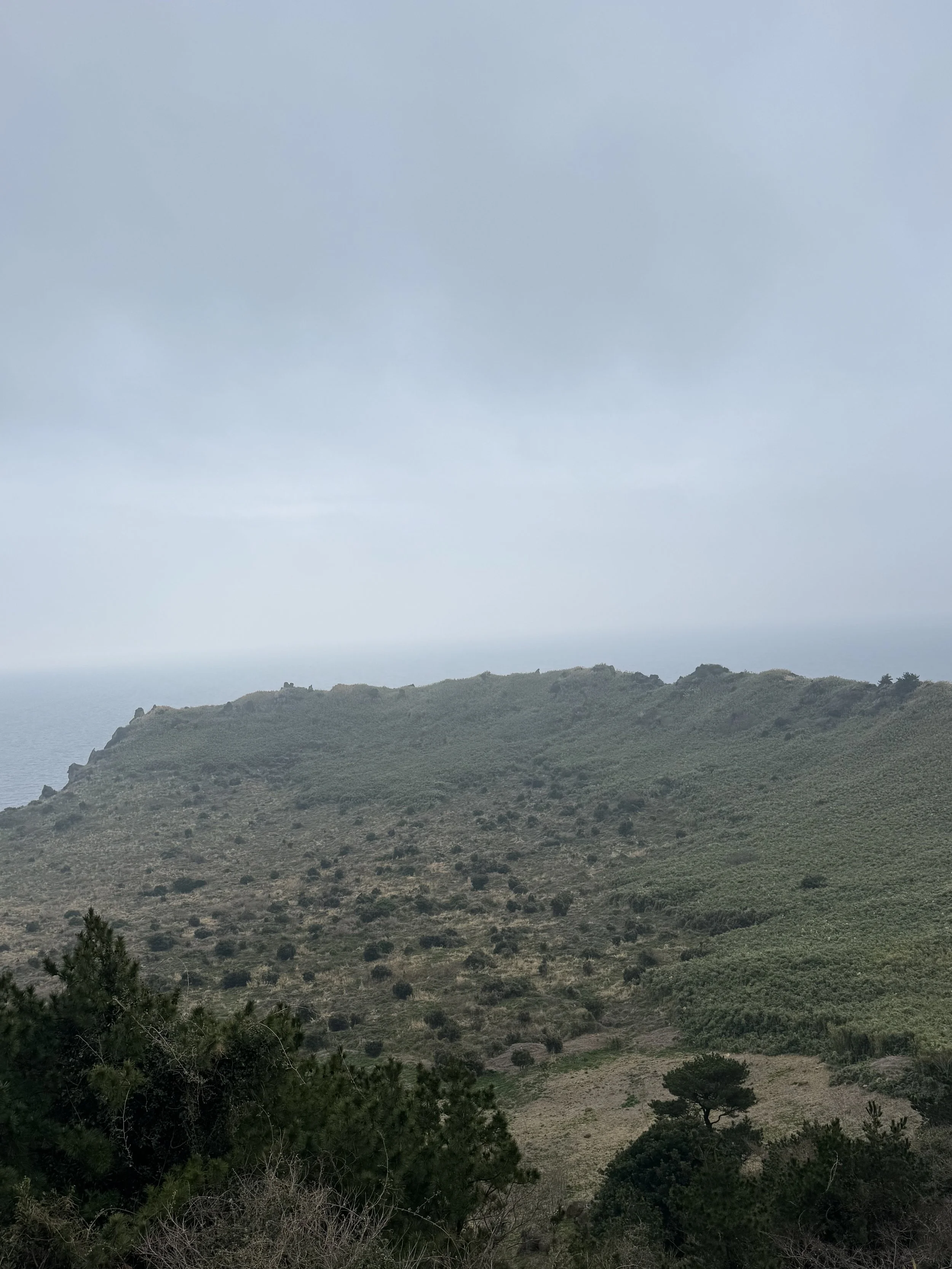 IMG_4258.jpeg
