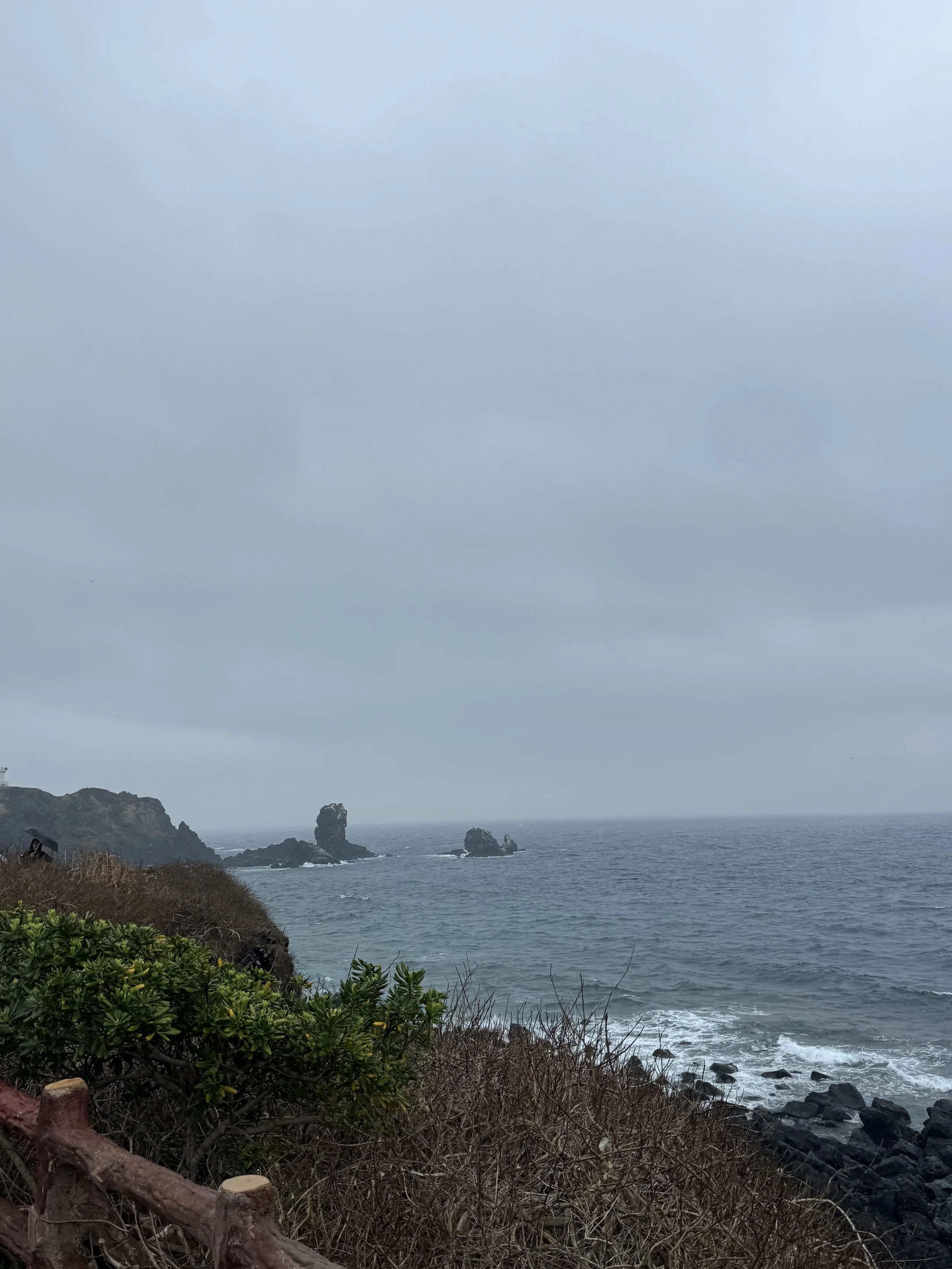 IMG_4262.jpeg