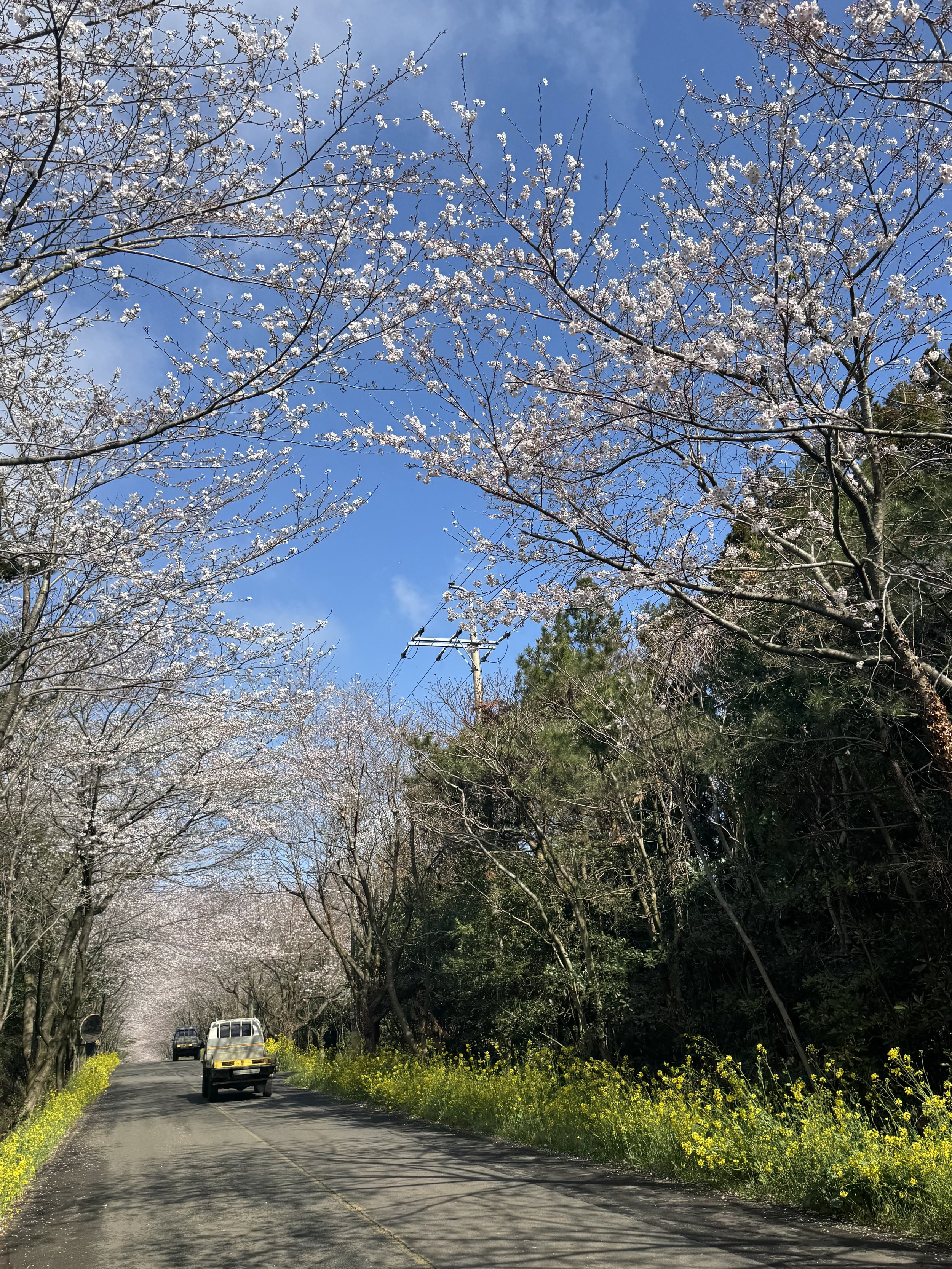 IMG_4389.jpeg