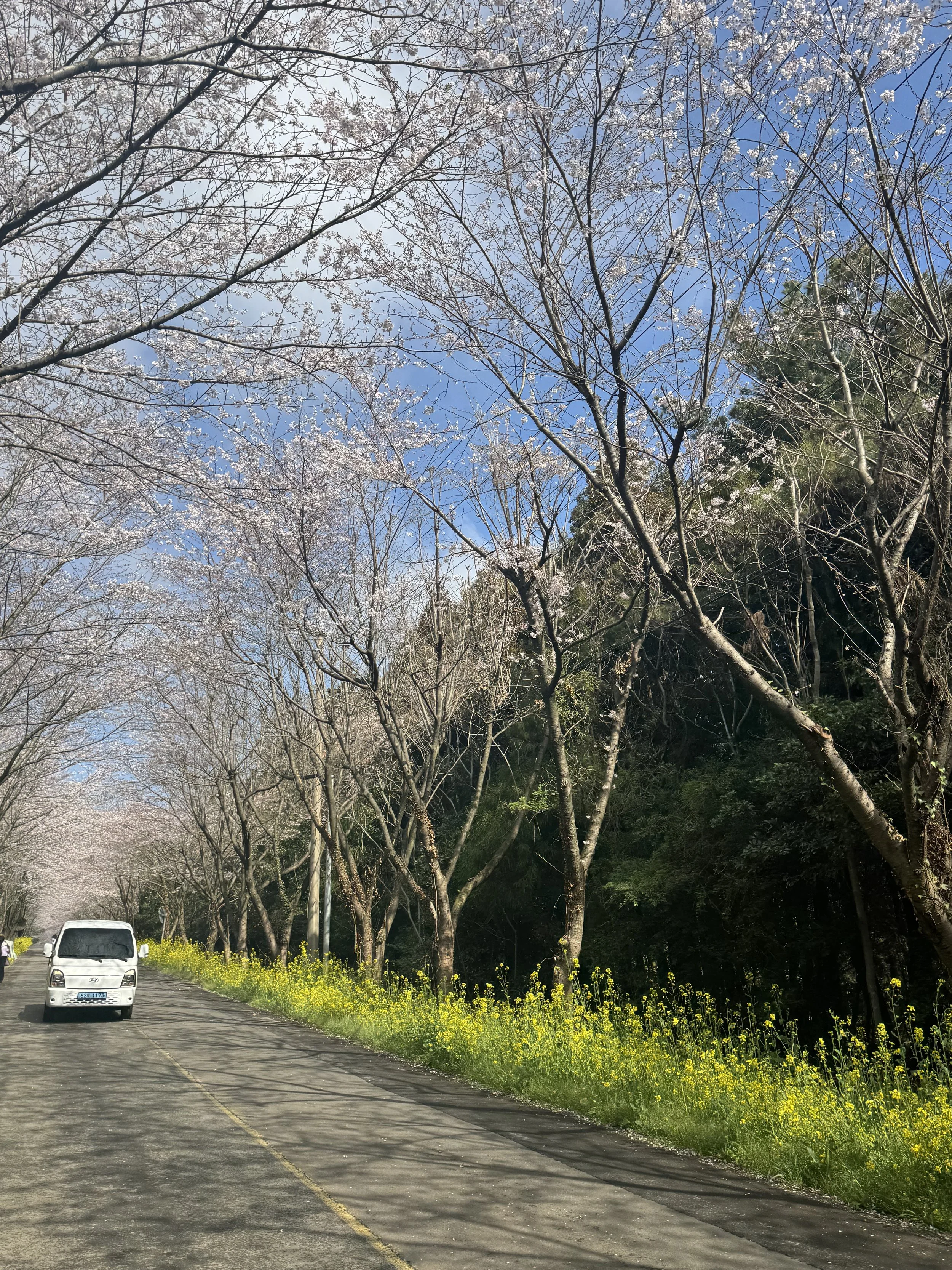 IMG_4420.jpeg