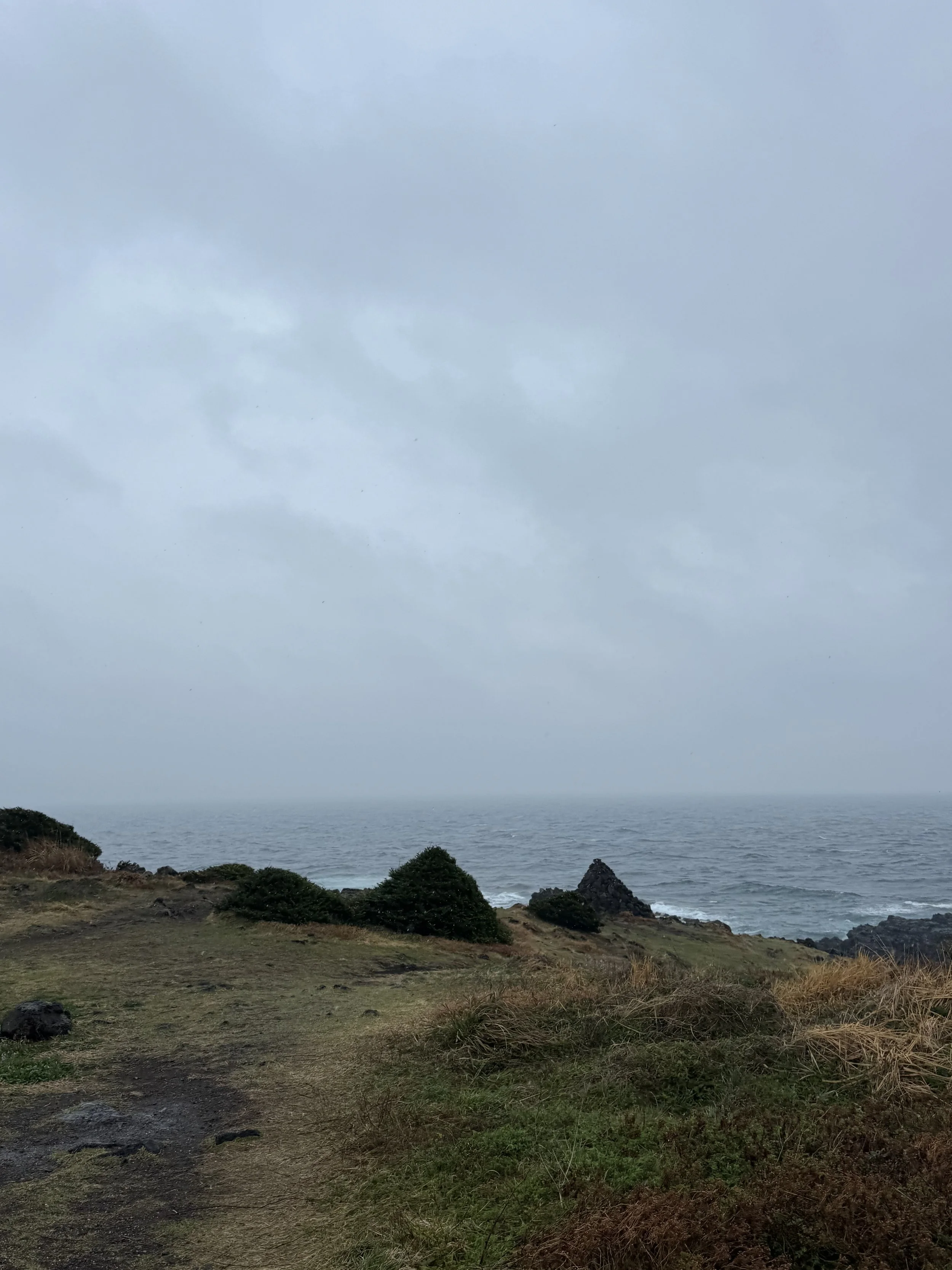 IMG_4280.jpeg