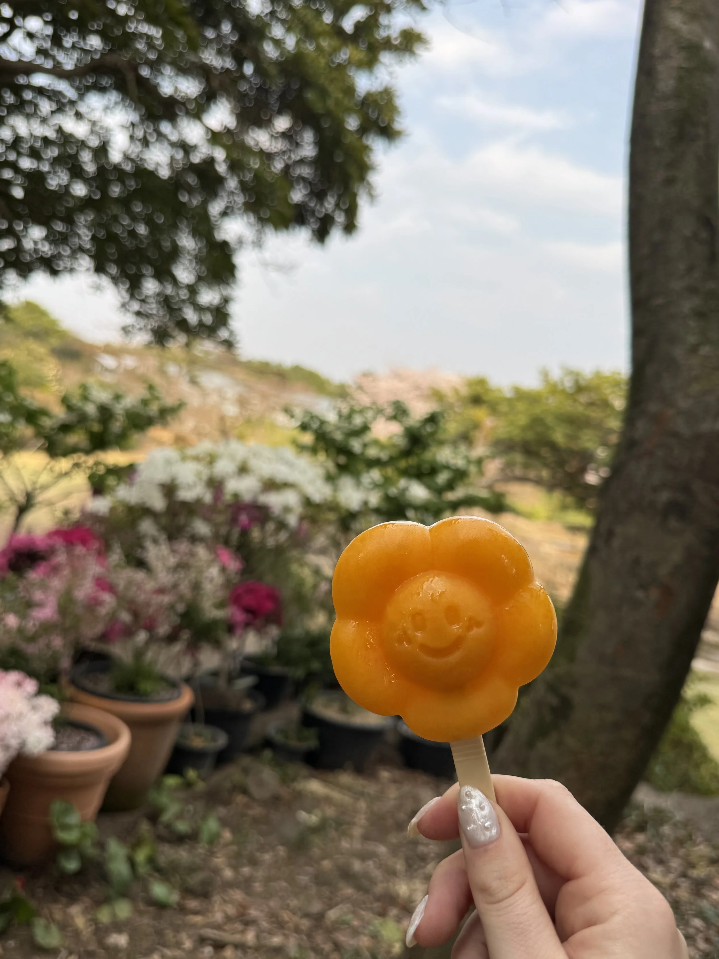 IMG_4249.jpeg