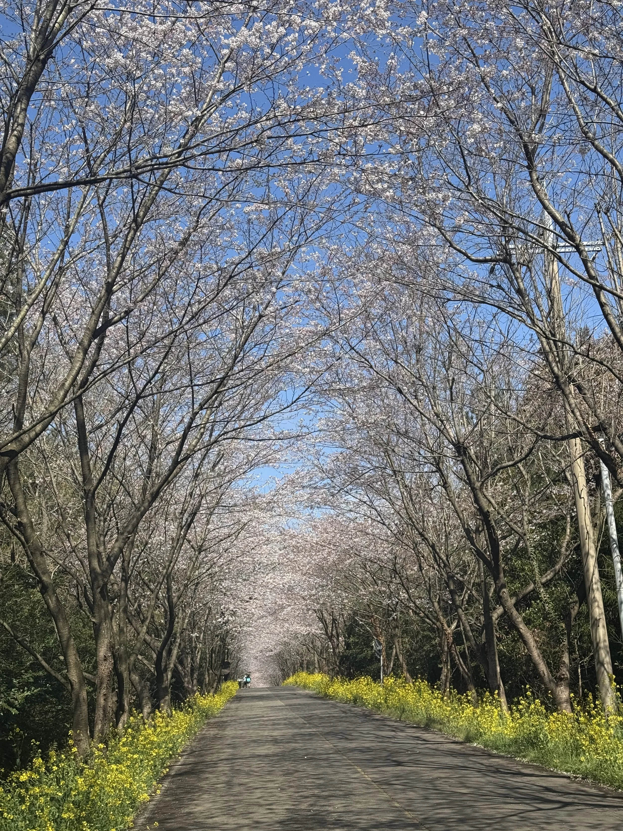 IMG_4448.jpeg