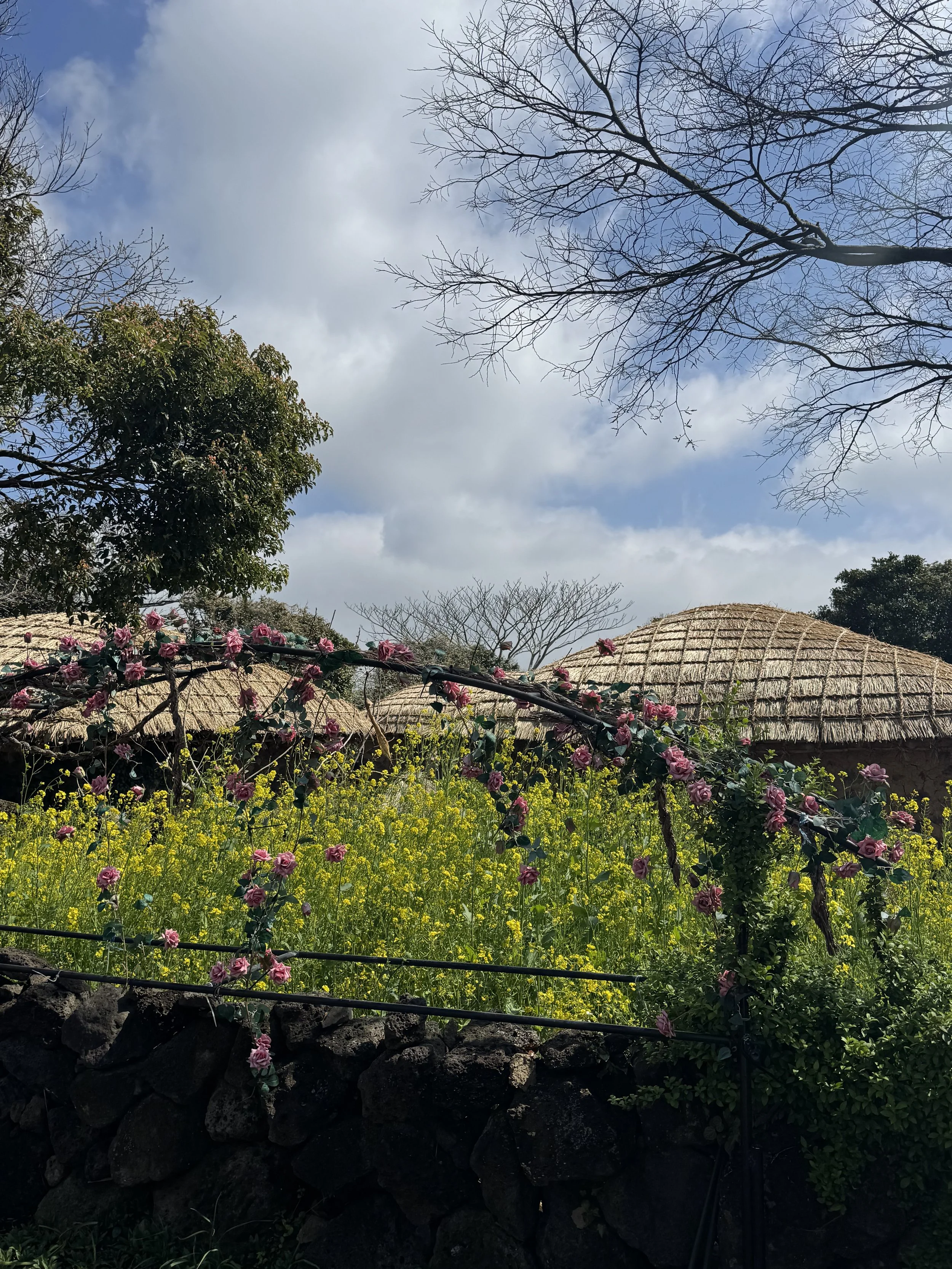 IMG_4458.jpeg