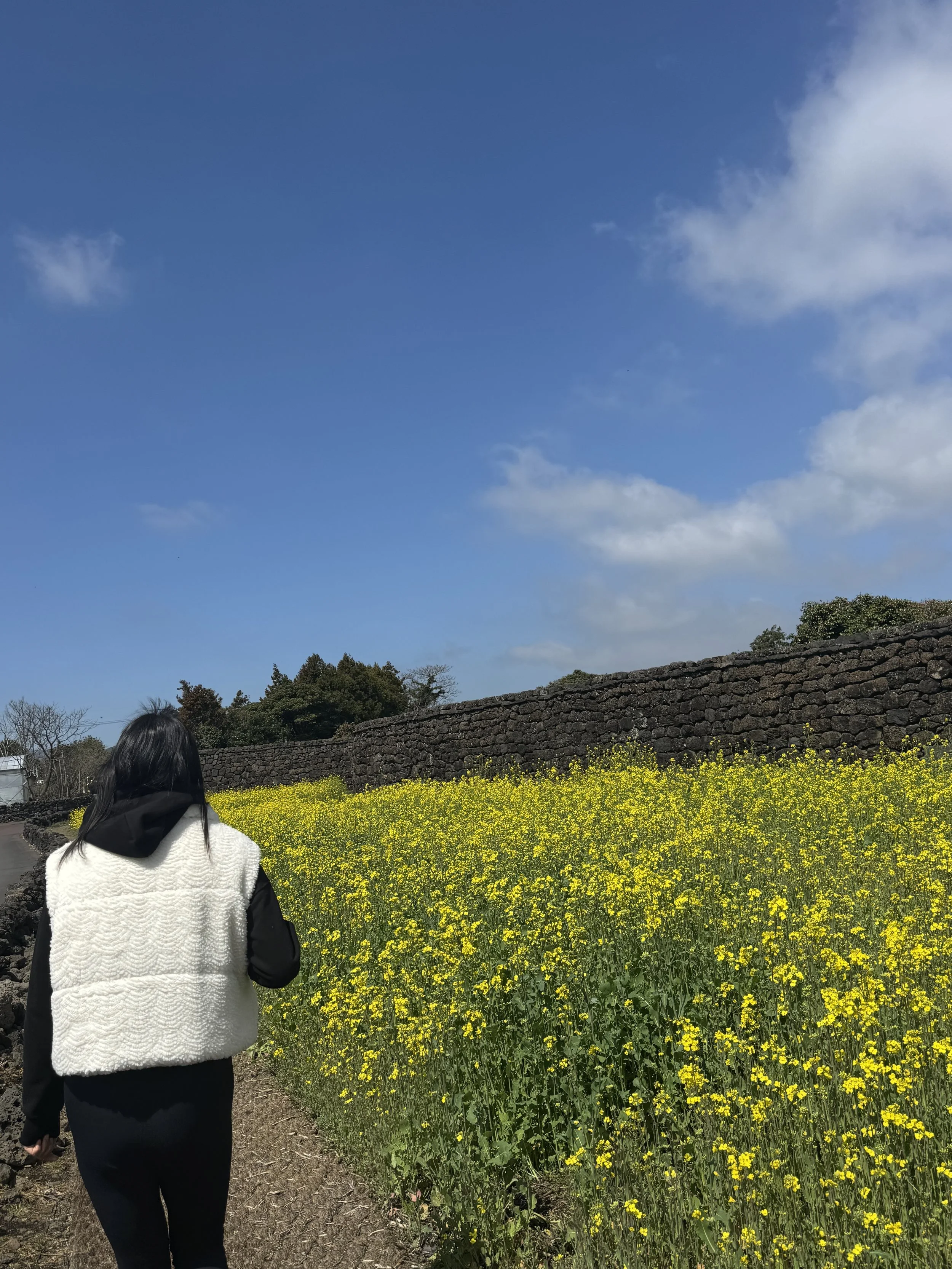 IMG_4464.jpeg