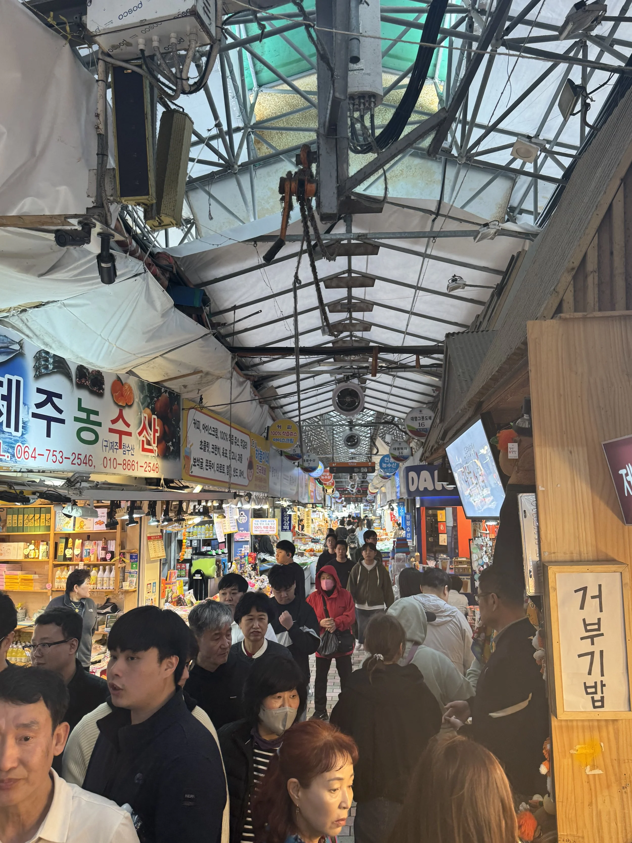 IMG_4465.jpeg