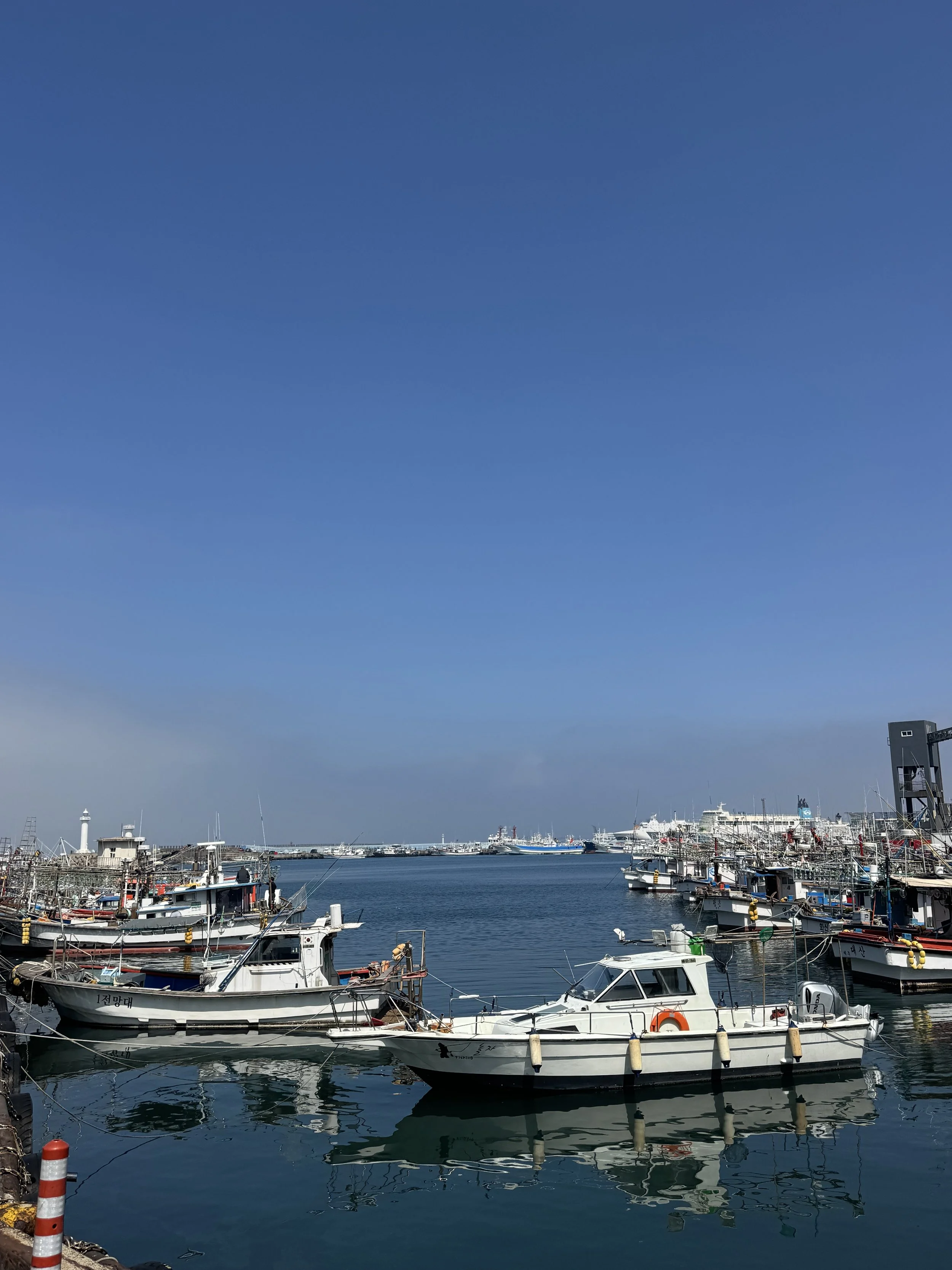 IMG_4466.jpeg