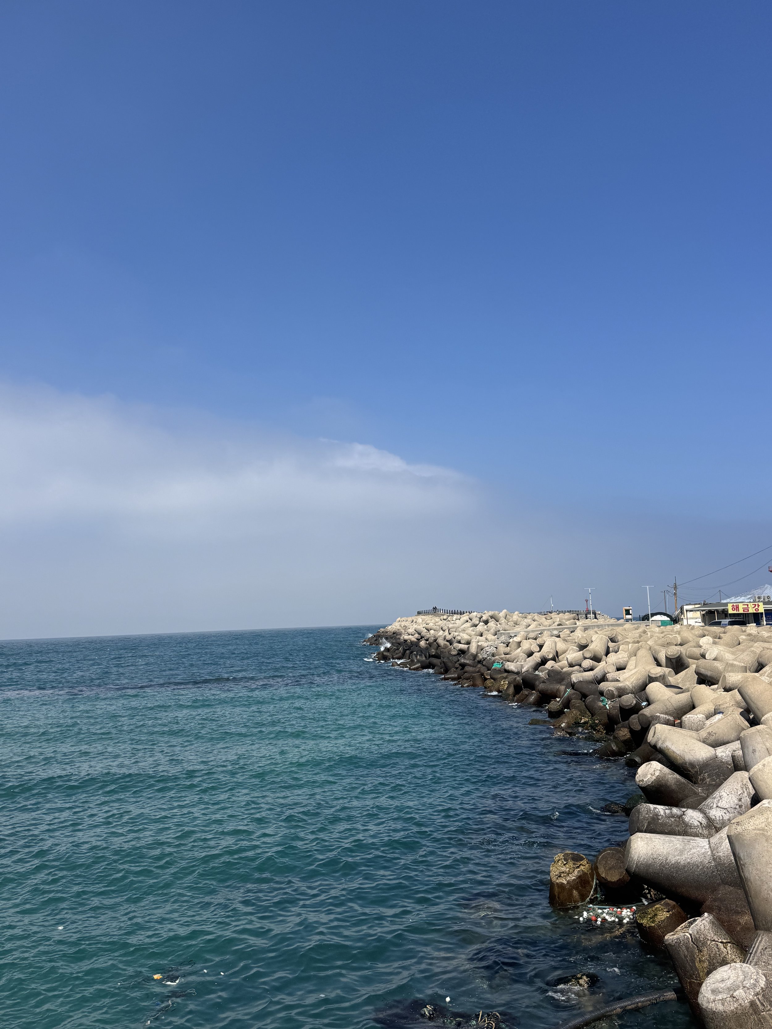 IMG_4467.jpeg