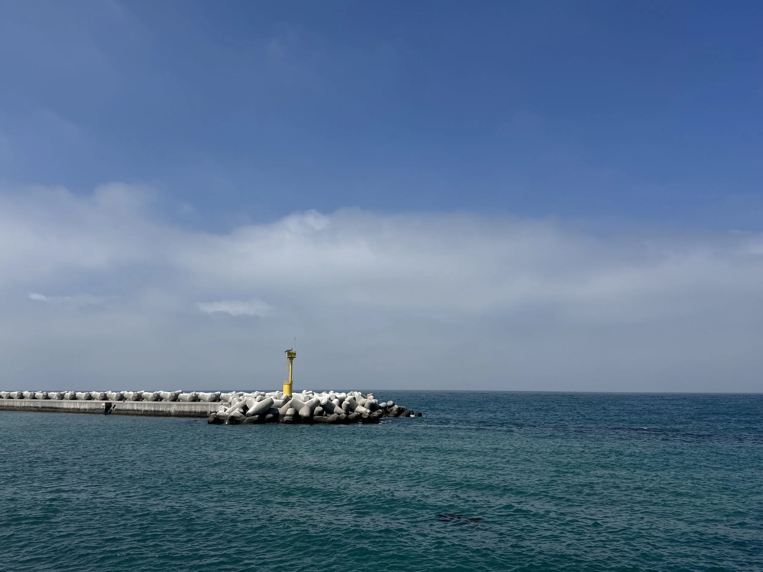 IMG_4468.jpeg