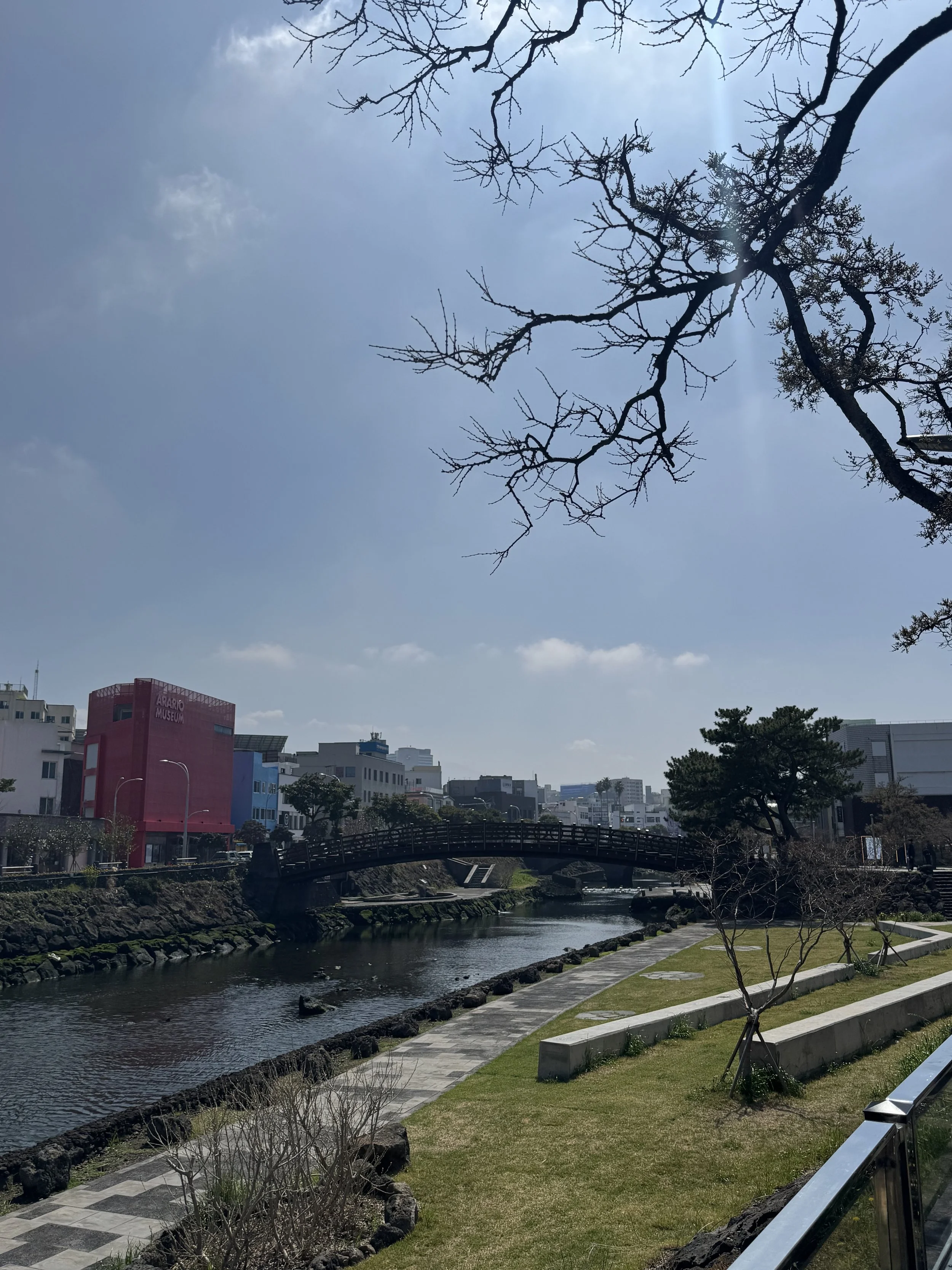 IMG_4485.jpeg