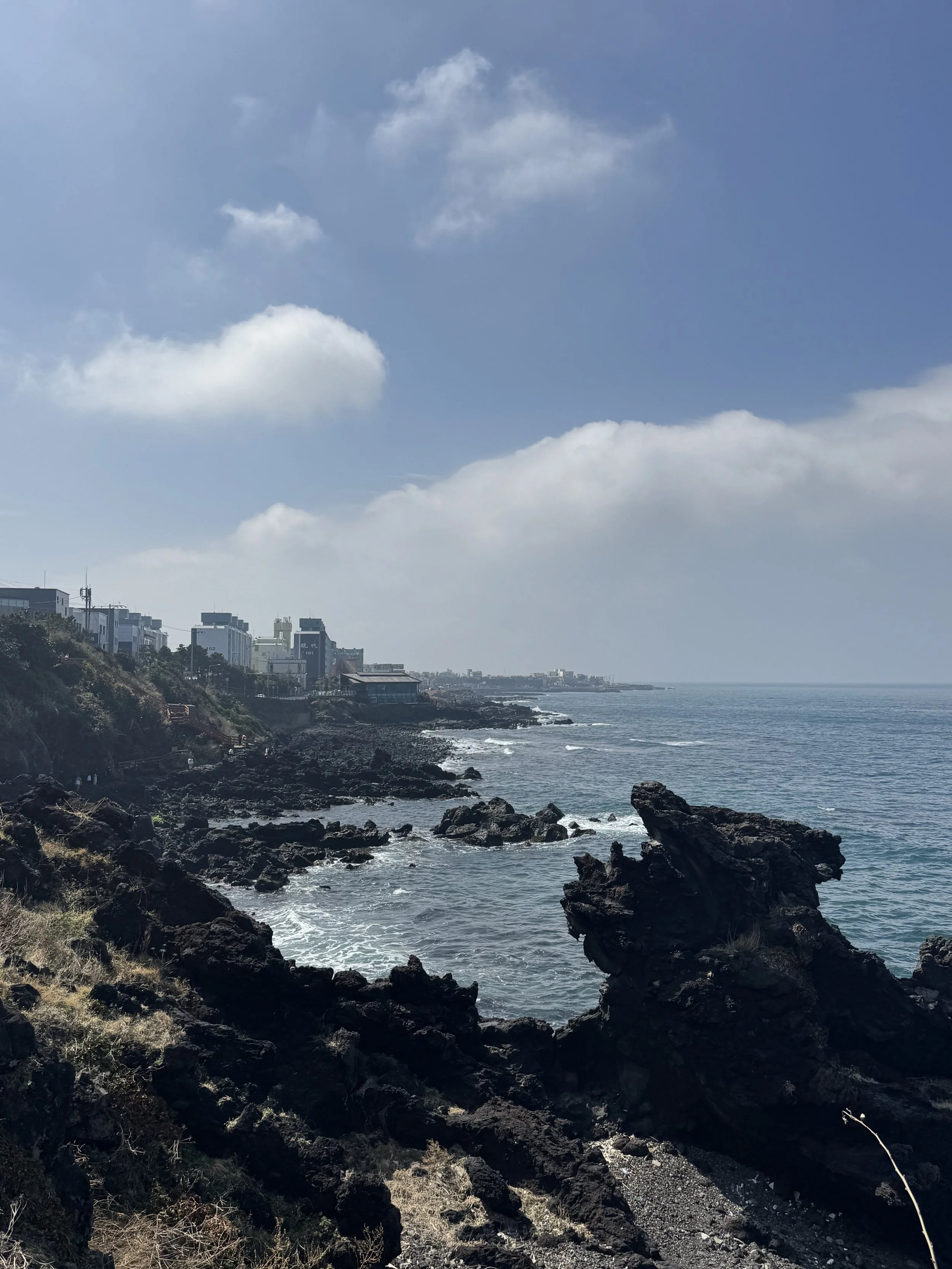 IMG_4486.jpeg